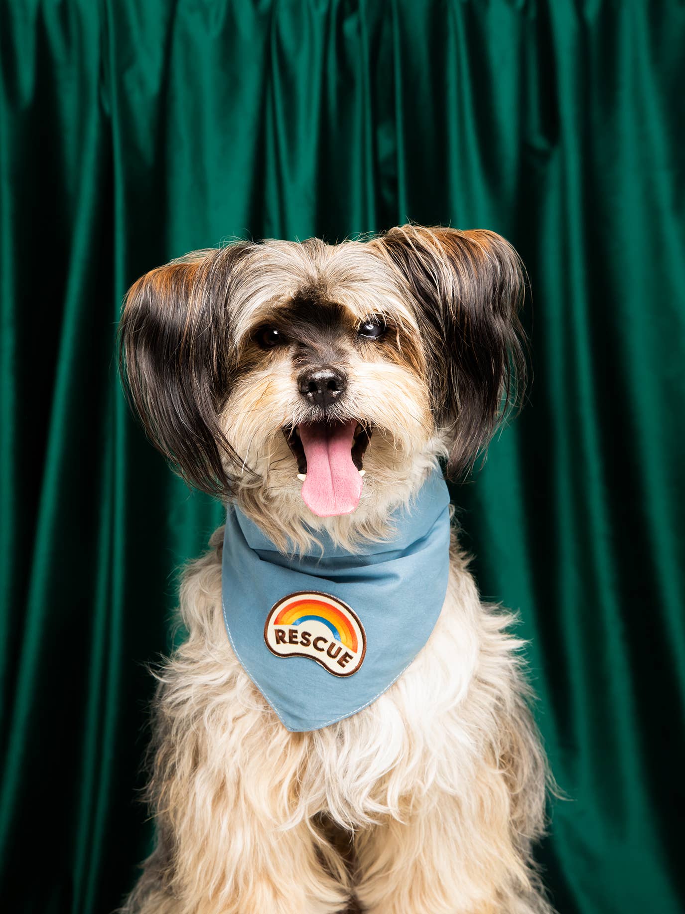 Patch thermocollant Rescue - Frankie et Suzie