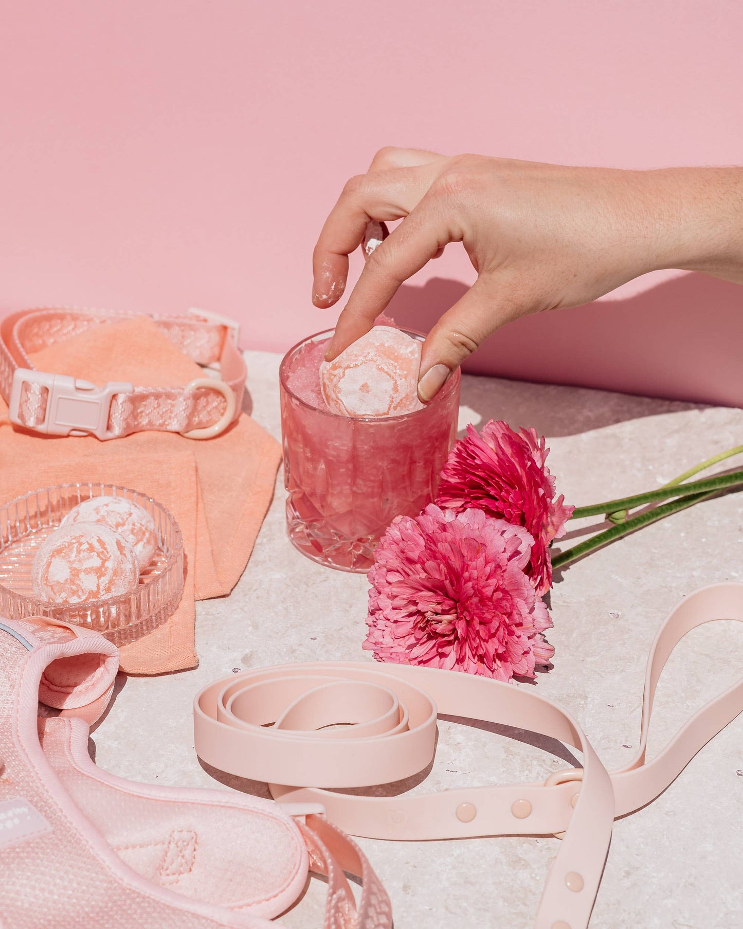 Laisse Sorbet Classic 2.0 - Frankie et Suzie