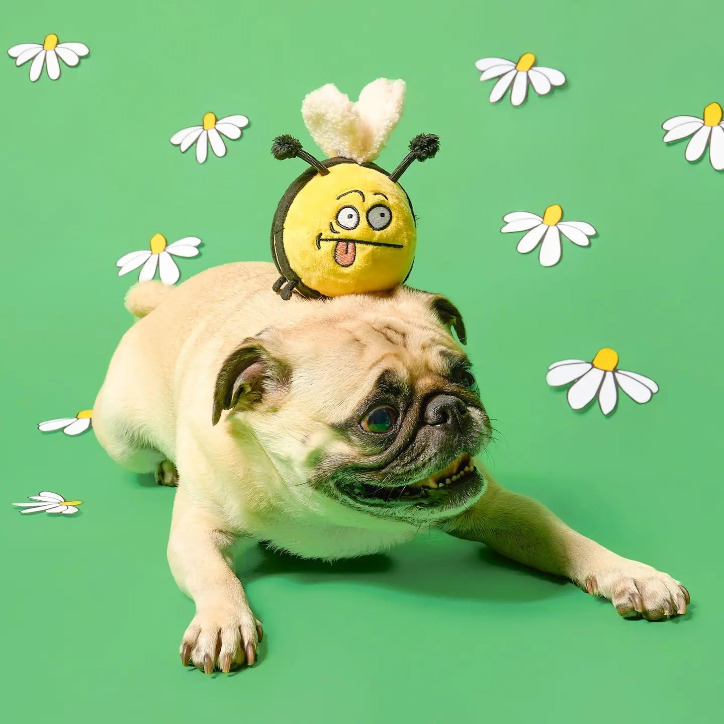 Jouet de fouille abeille