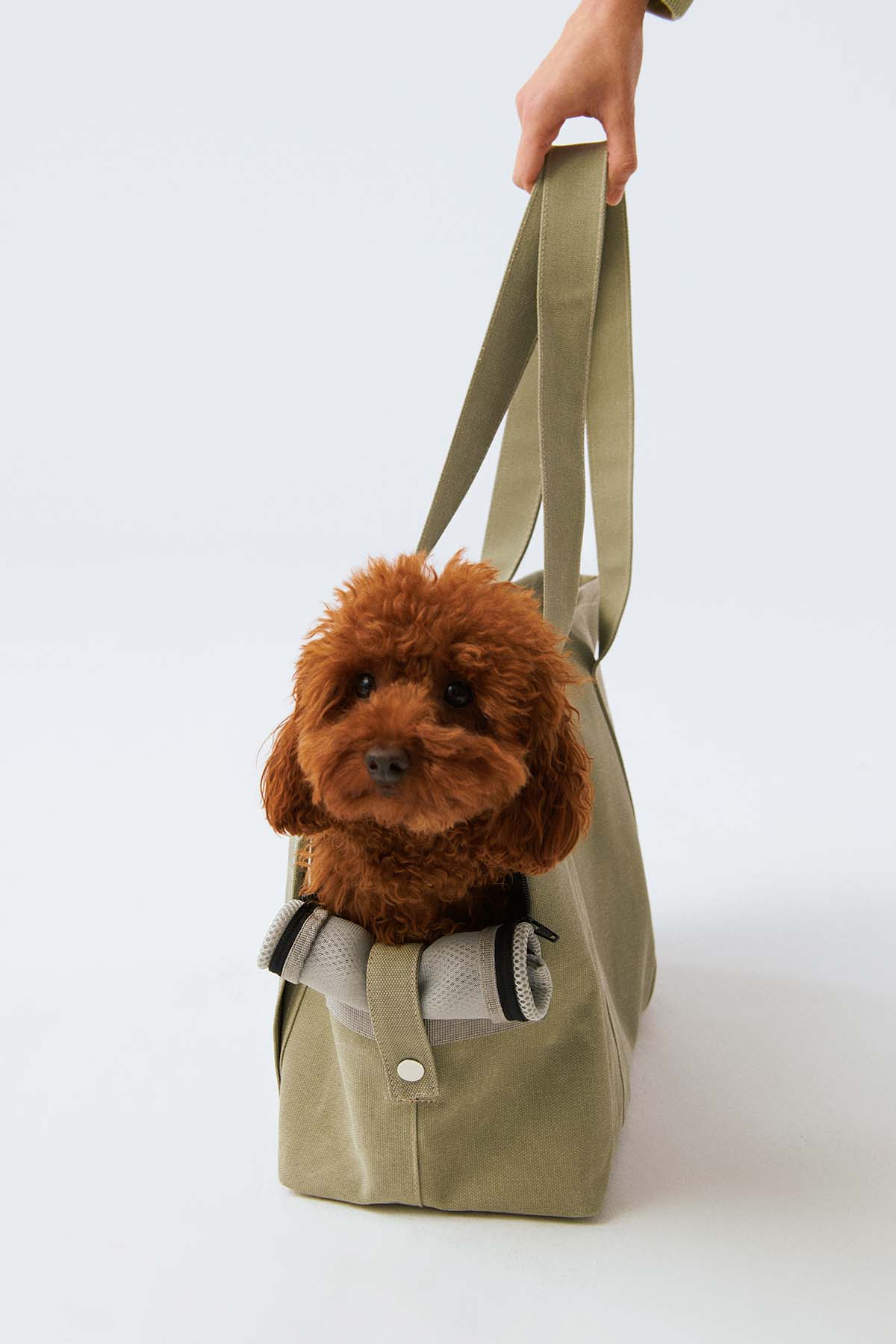 Sac de transport beige