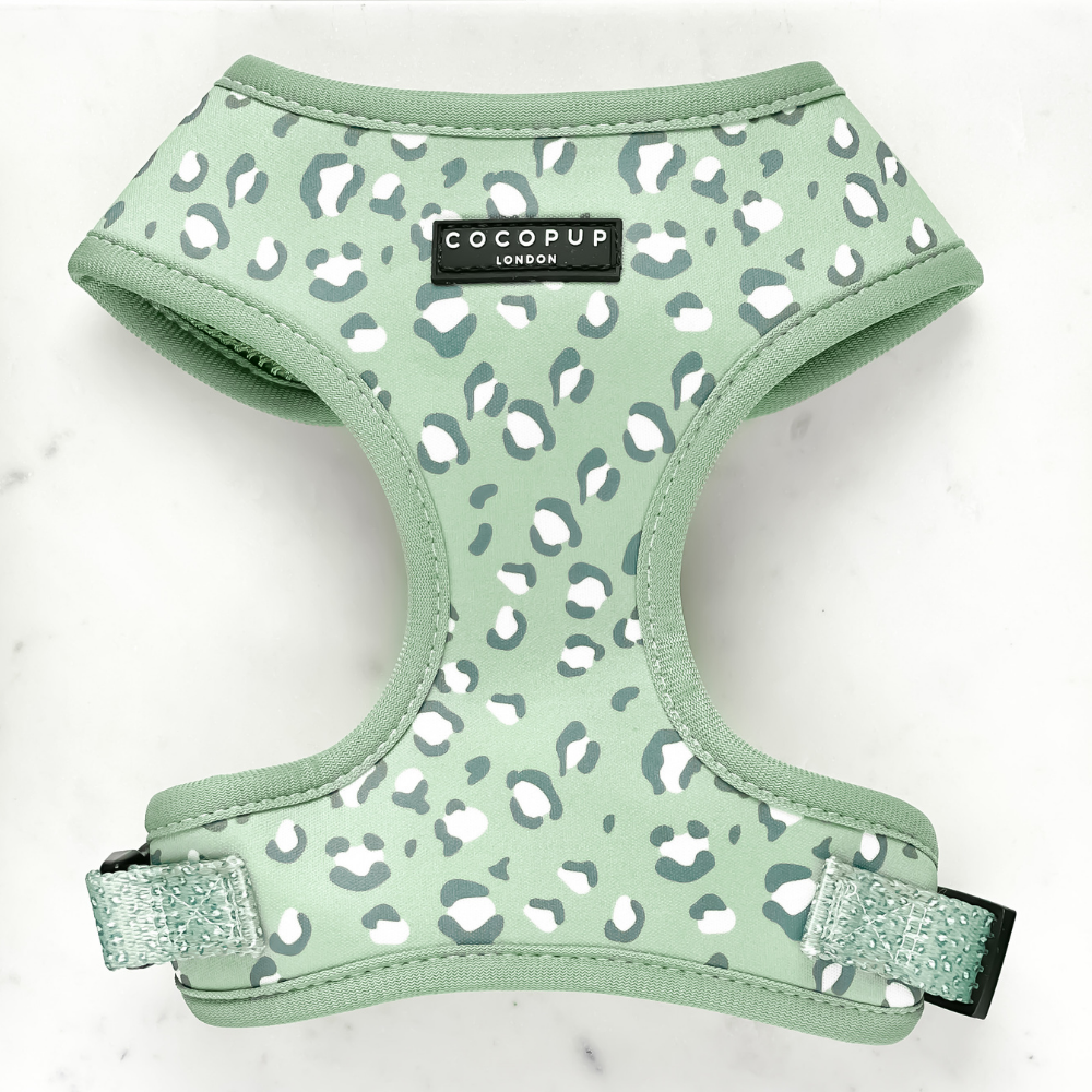 Harnais Leopard vert - Frankie et Suzie