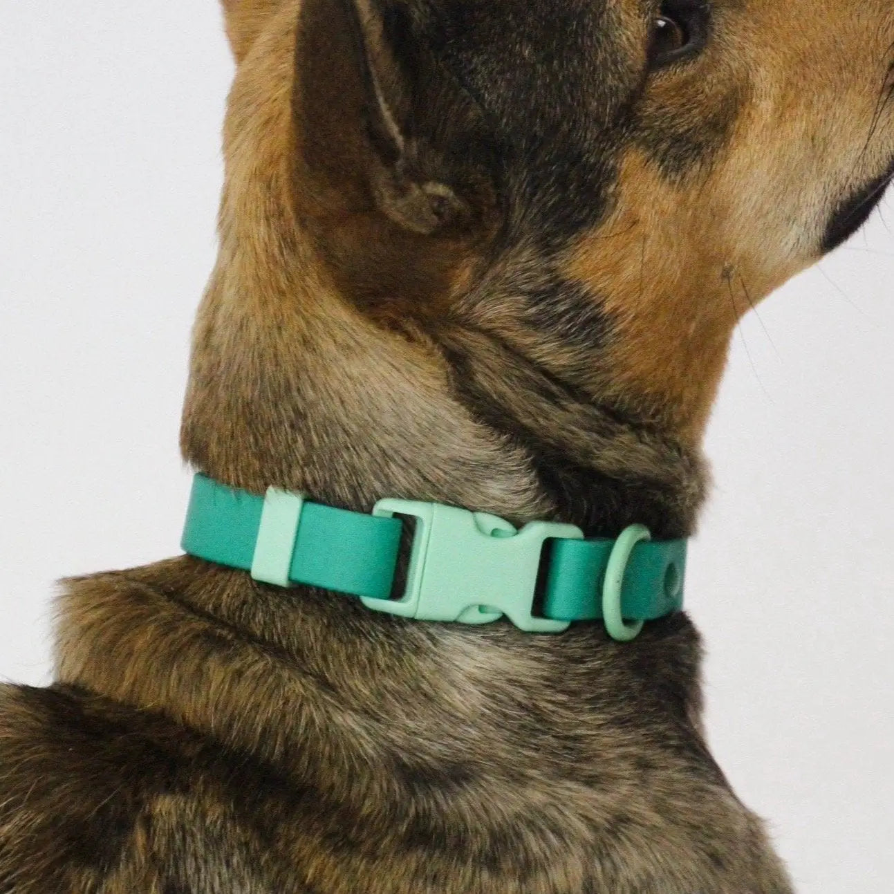 Collier imperméable vert - Frankie et Suzie