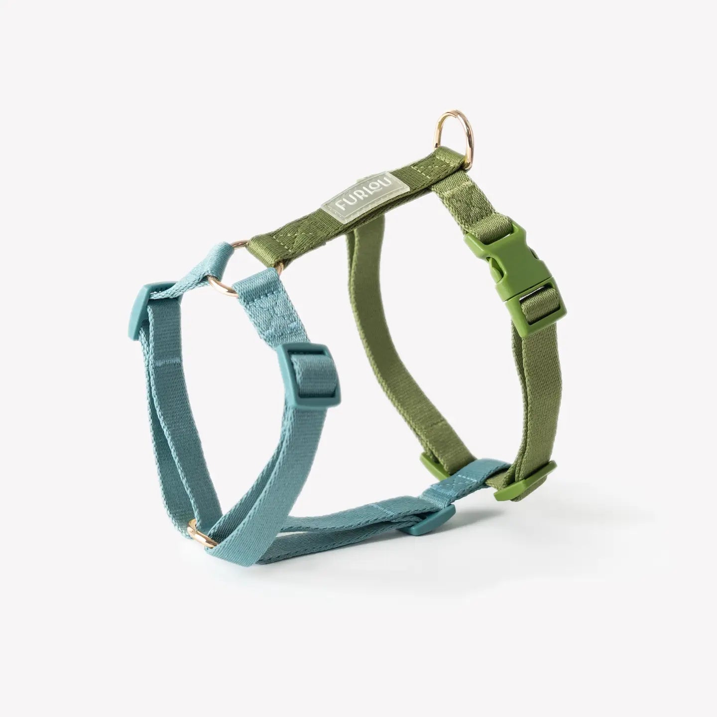 Harnais vert et bleu