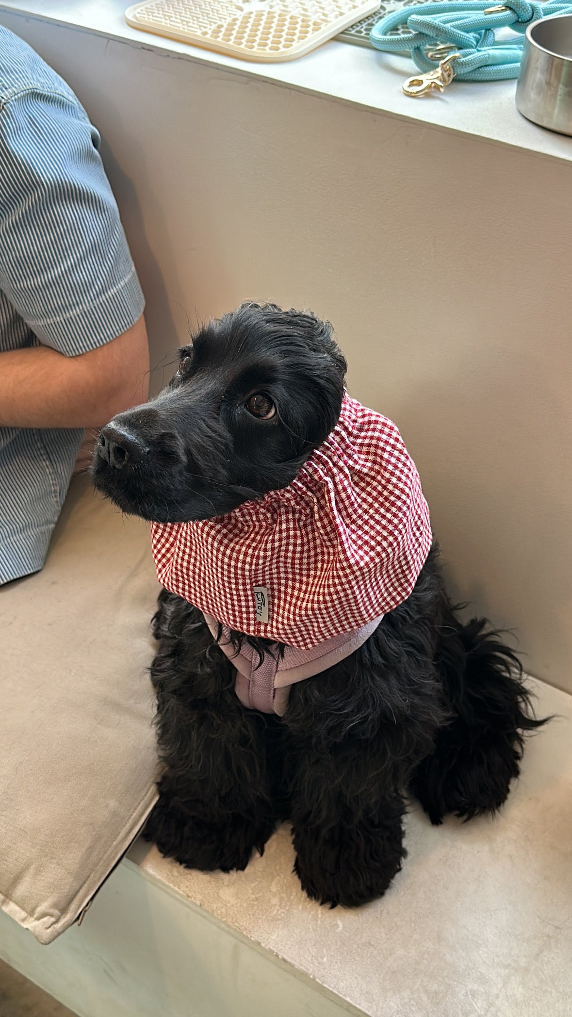 Snood rouge vichy - Frankie et Suzie
