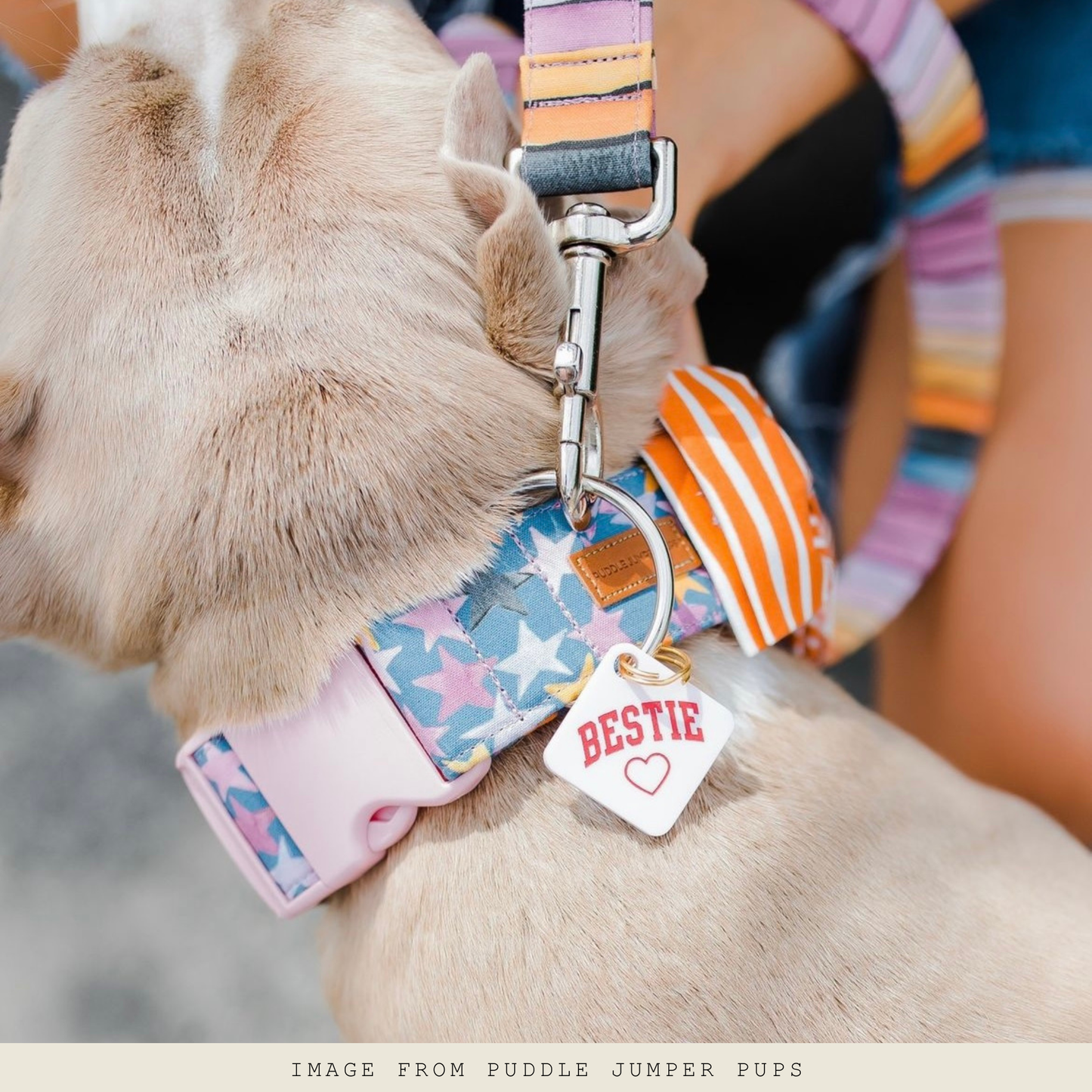 Médaille Bestie - Frankie et Suzie