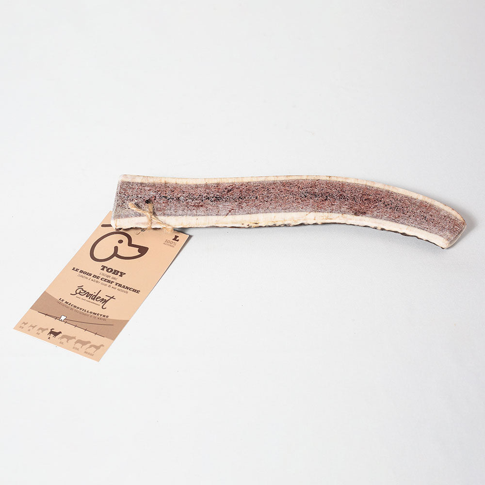 Bois de cerf tranché L