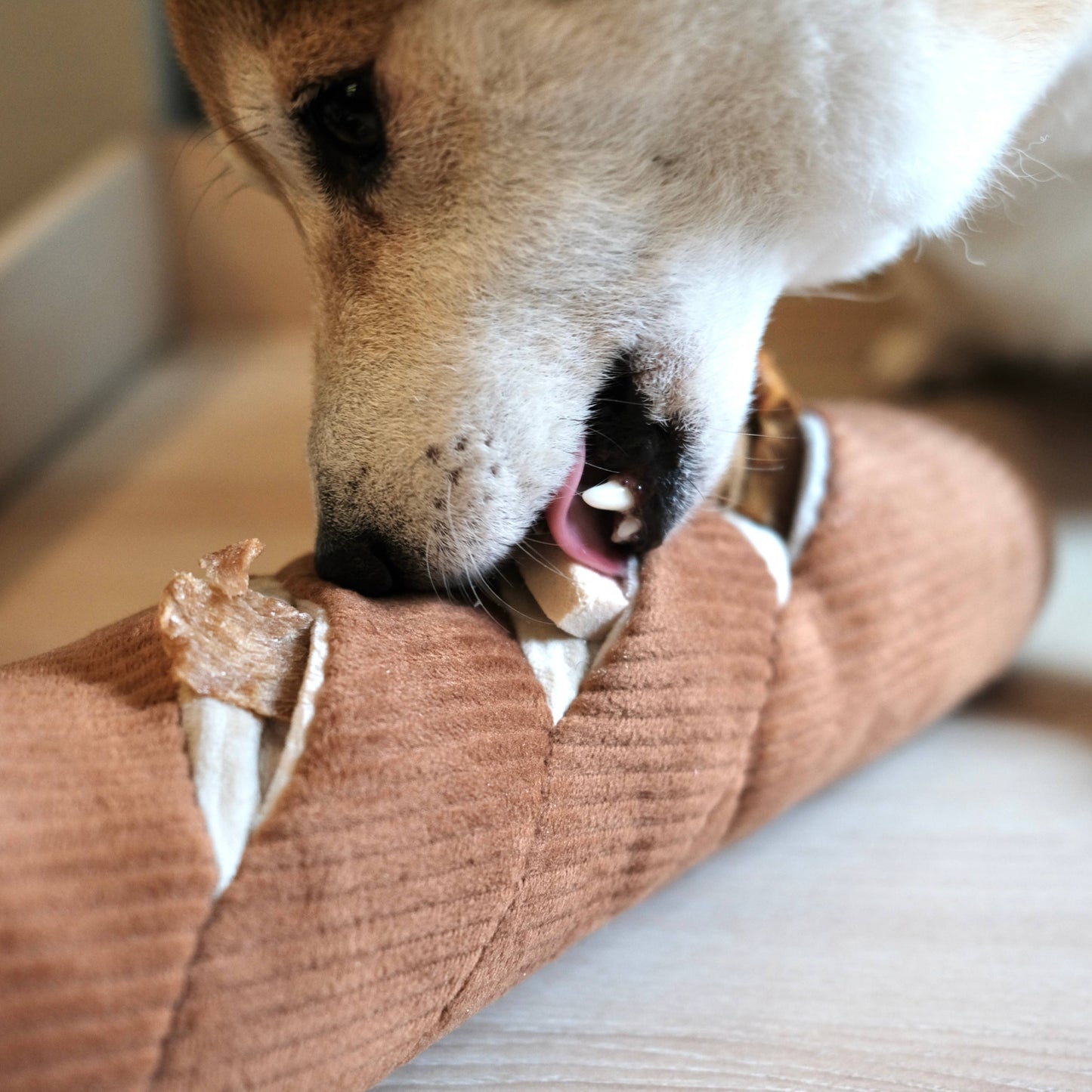 Baguette de fouille