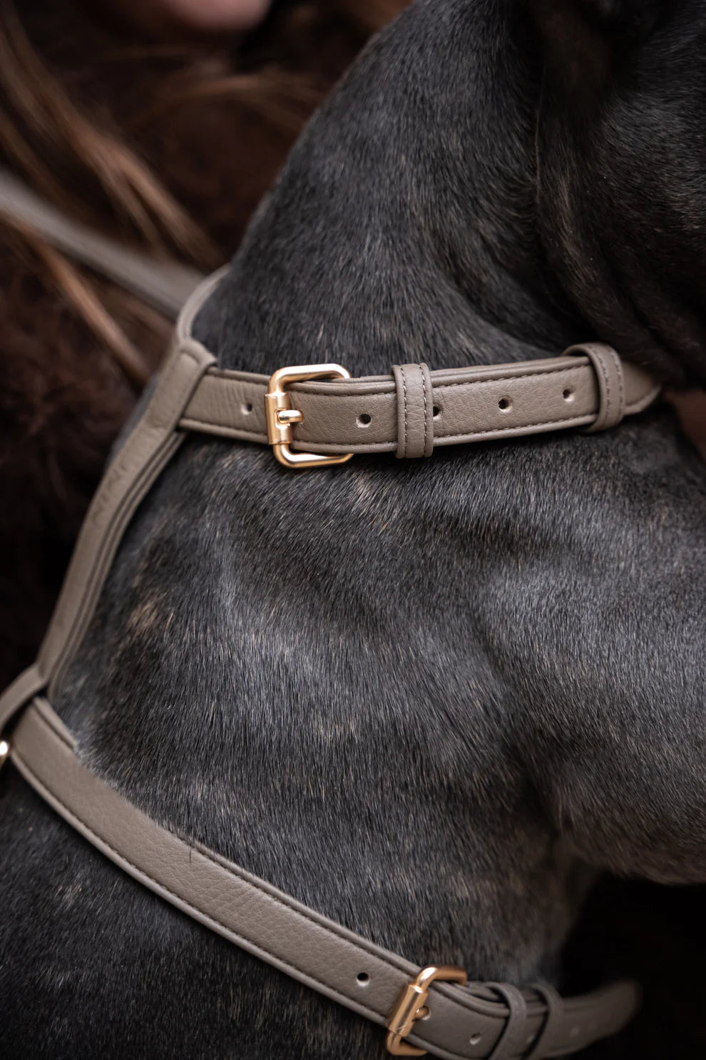 Harnais grey en microfibre végétale