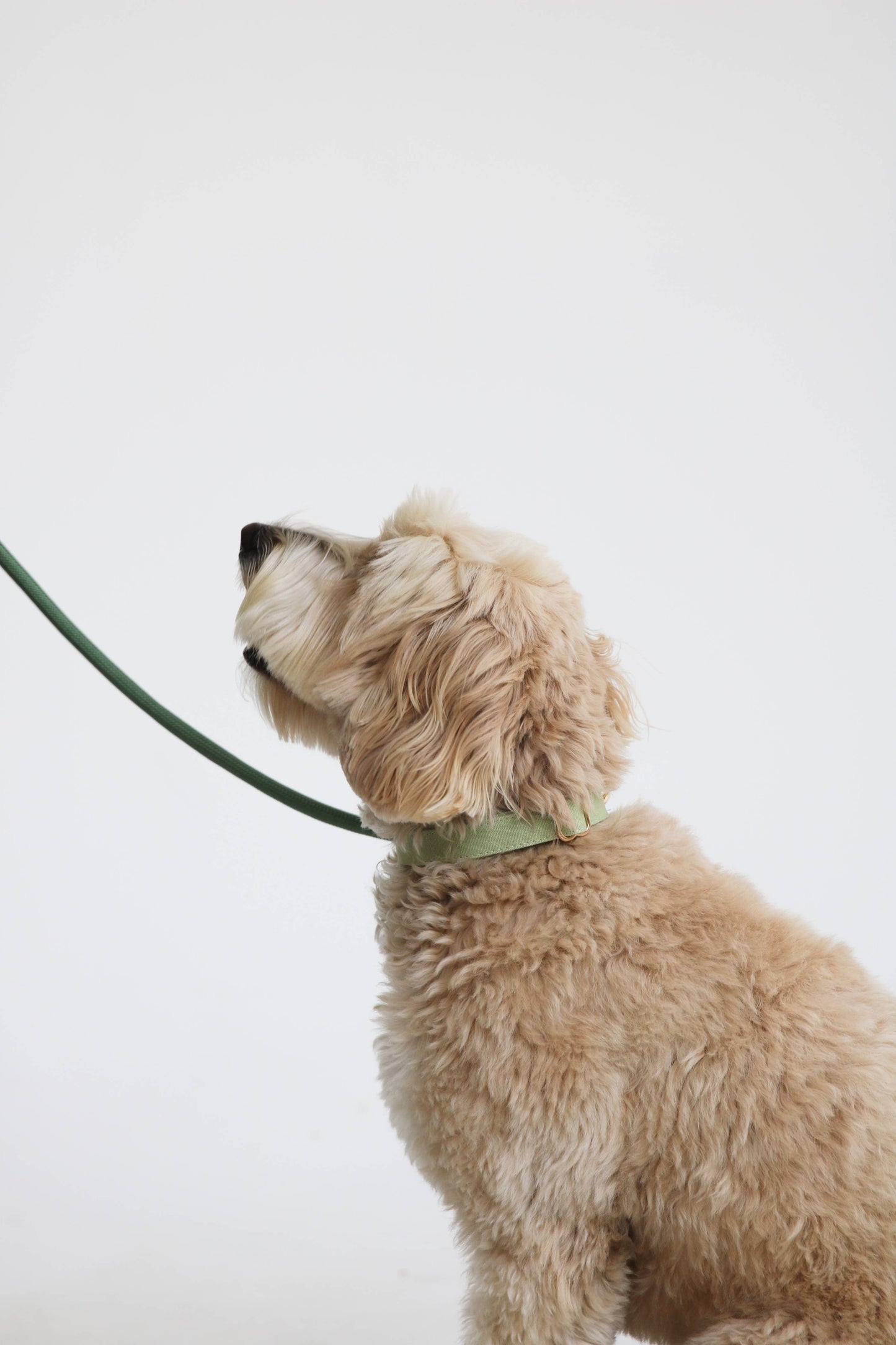 Collier Sage Green - Frankie et Suzie