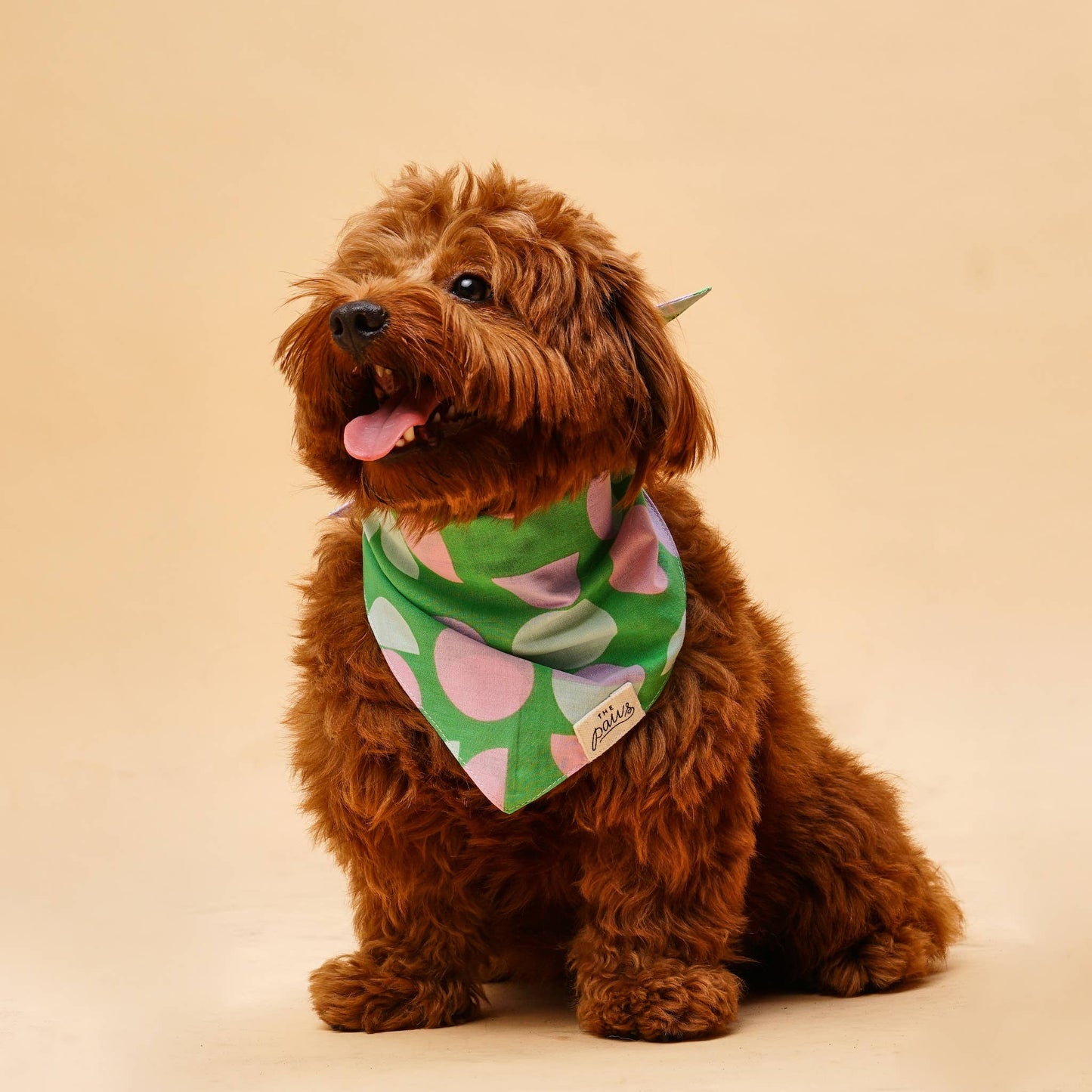 Bandana Elroy