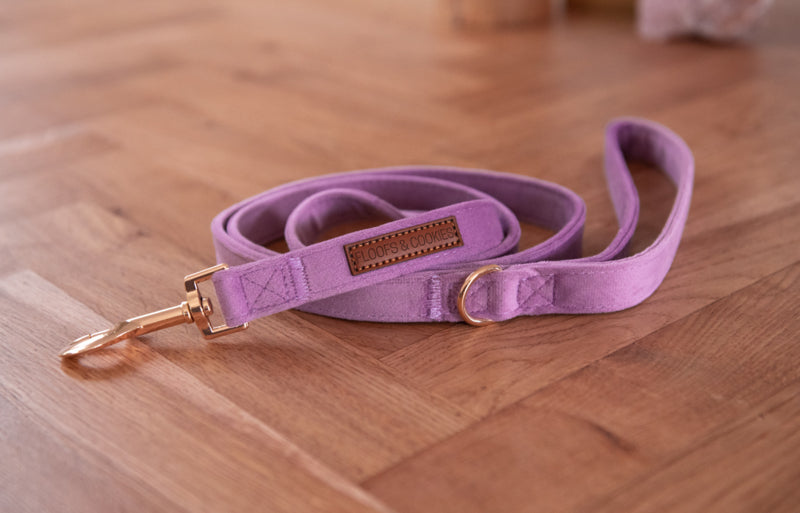 Laisse Velvy Lavie - Frankie et Suzie