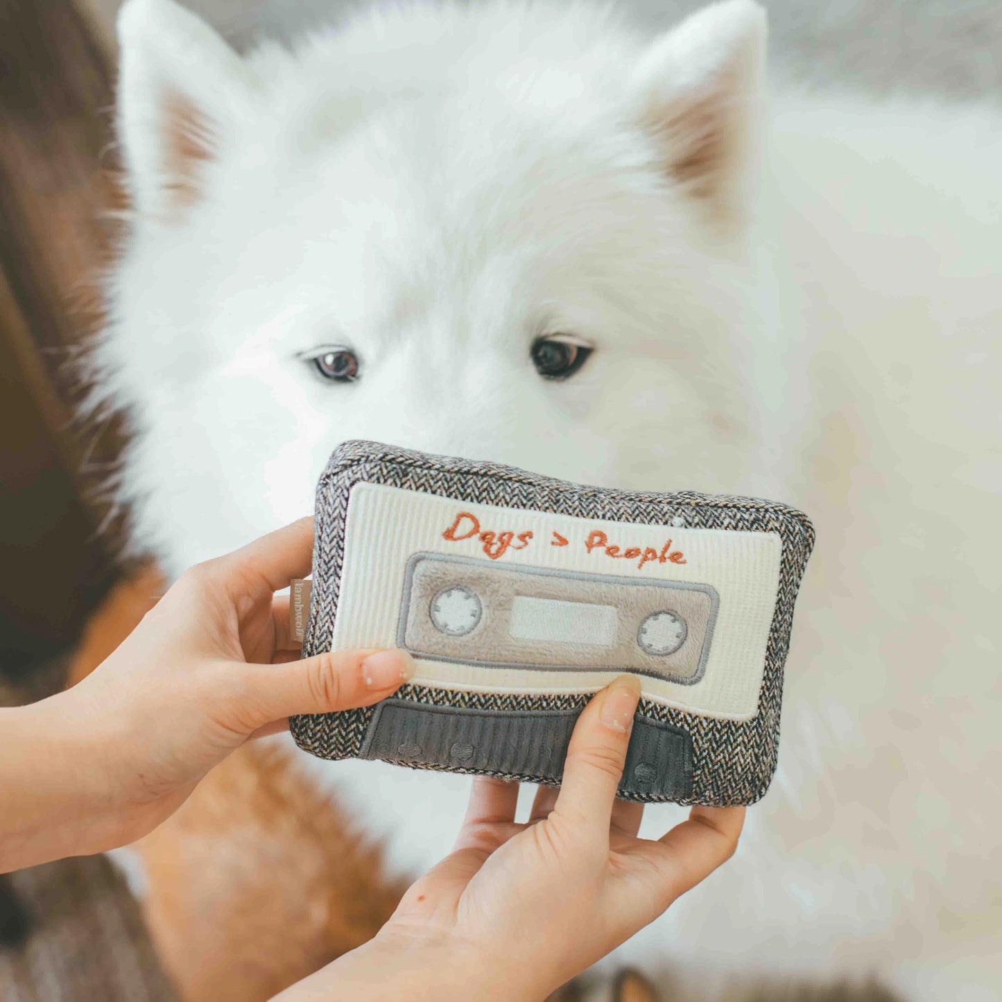 Cassette de fouille