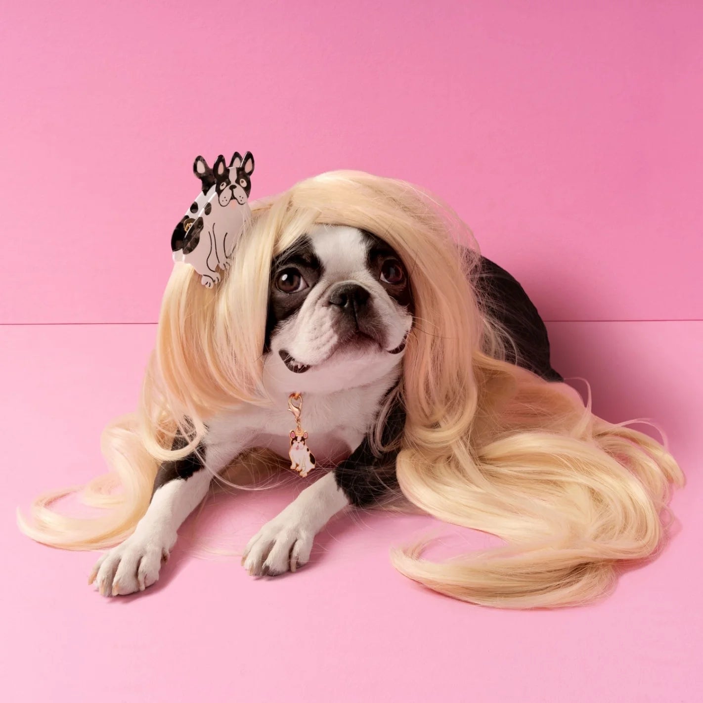 Pince à cheveux Bouledogue - Frankie et Suzie