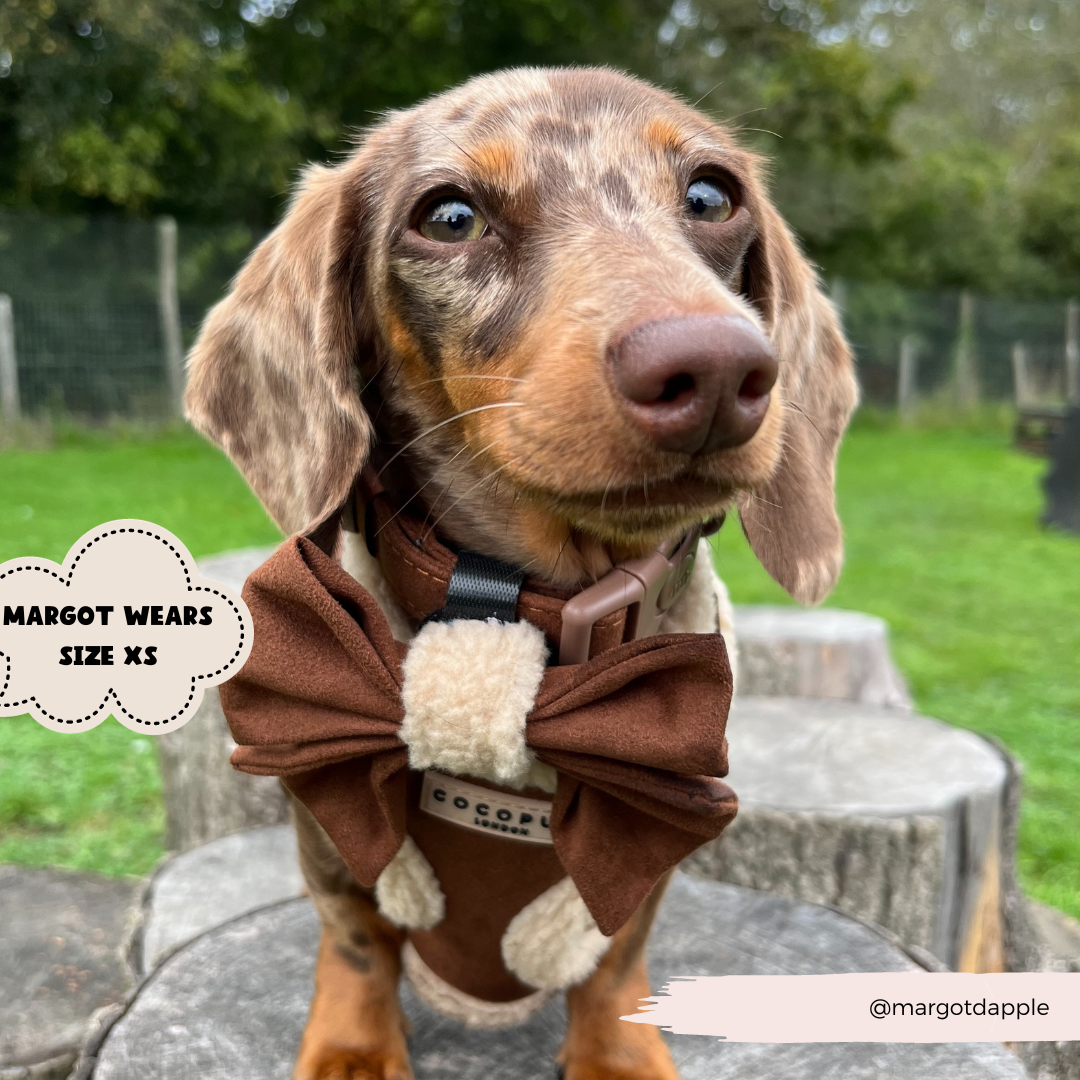 Harnais Aviator marron et beige