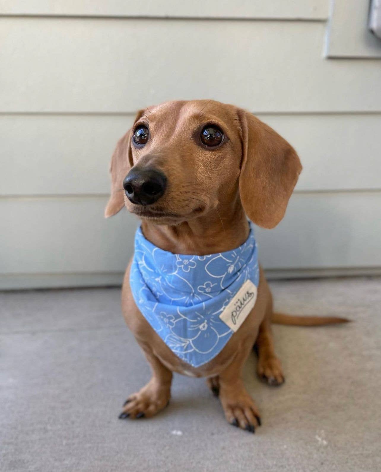 Bandana fleurs de tiaré - Frankie et Suzie