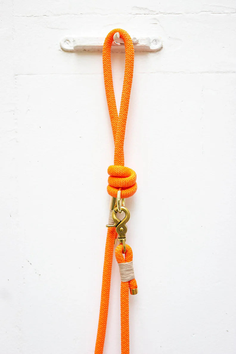 Laisse orange multi-positions