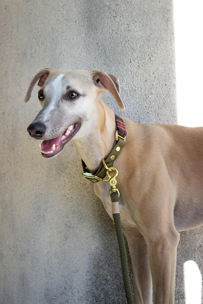 Laisse kaki multi-positions