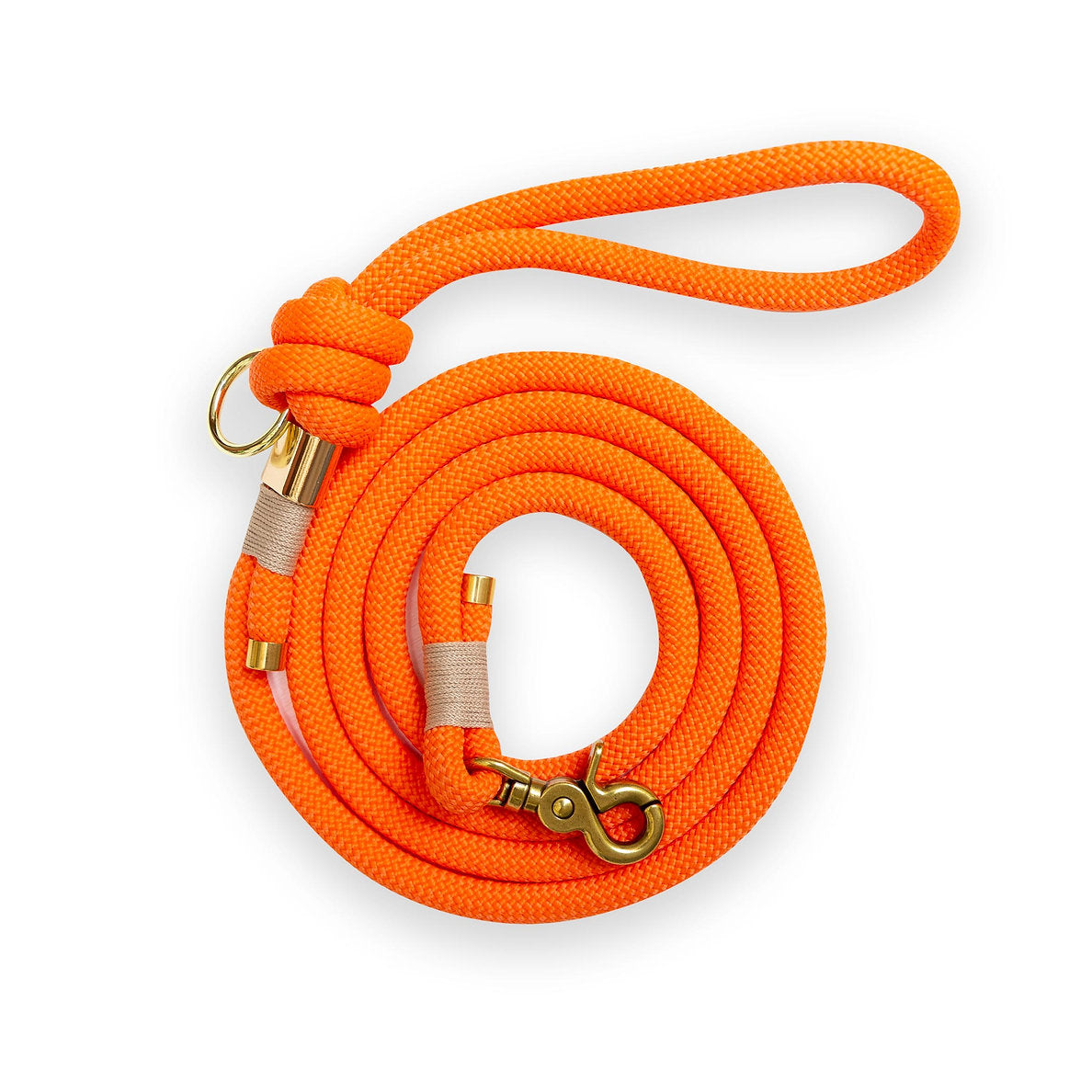 Laisse orange multi-positions