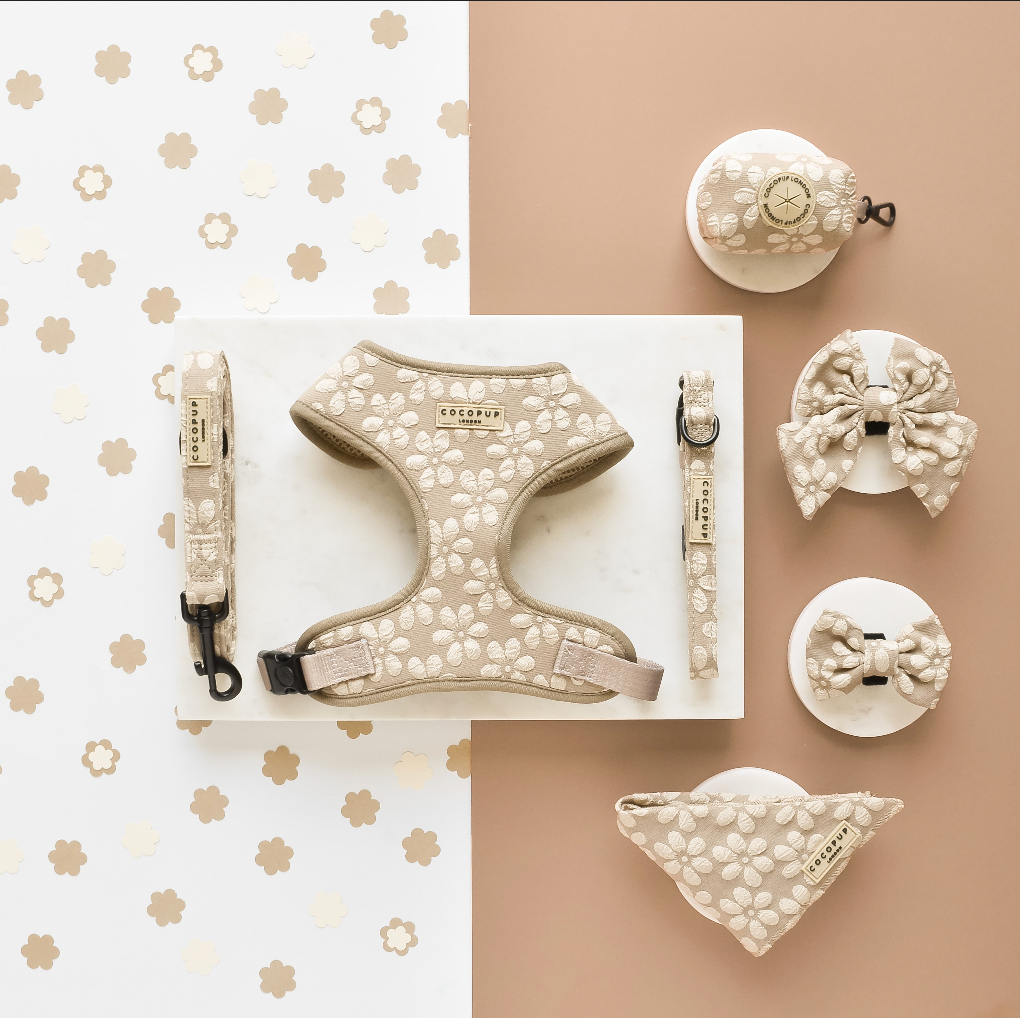 Laisse Fleur de moka - Frankie et Suzie