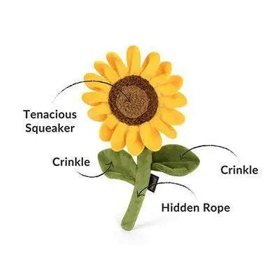 Tournesol épicé