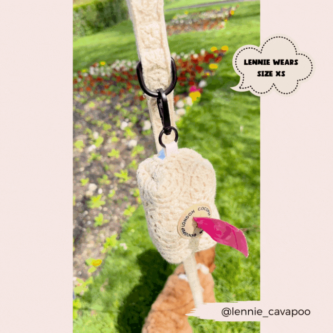 Laisse Festival Crochet - Frankie et Suzie