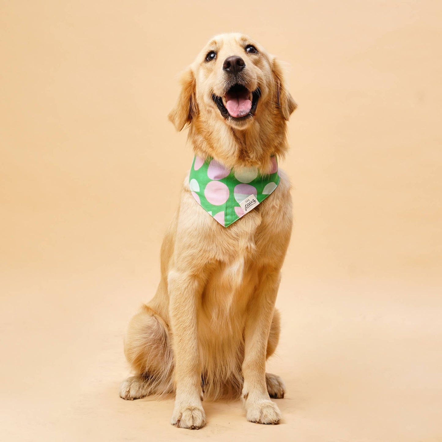 Bandana Elroy