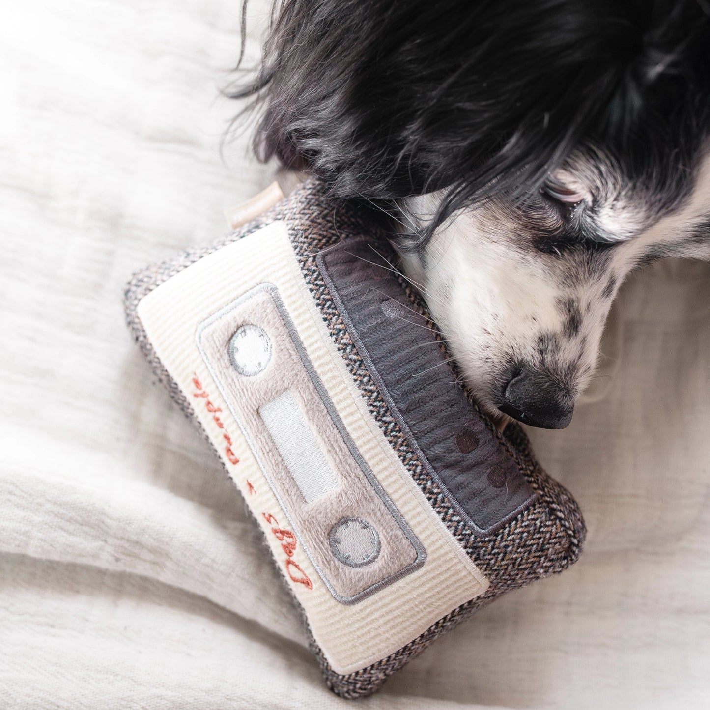 Cassette de fouille