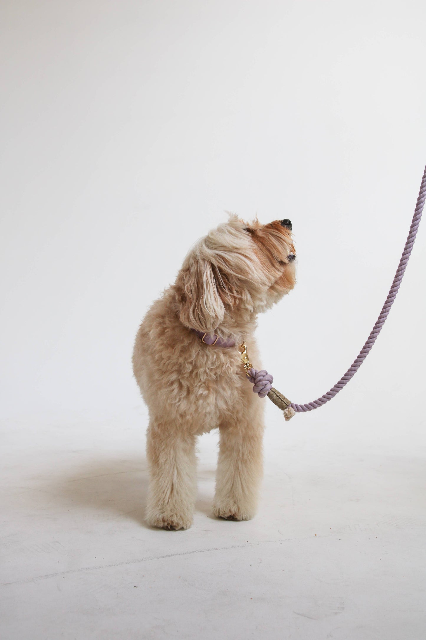 Collier Lavender - Frankie et Suzie