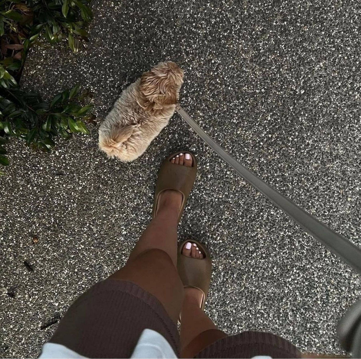 Laisse beige en cuir végétal