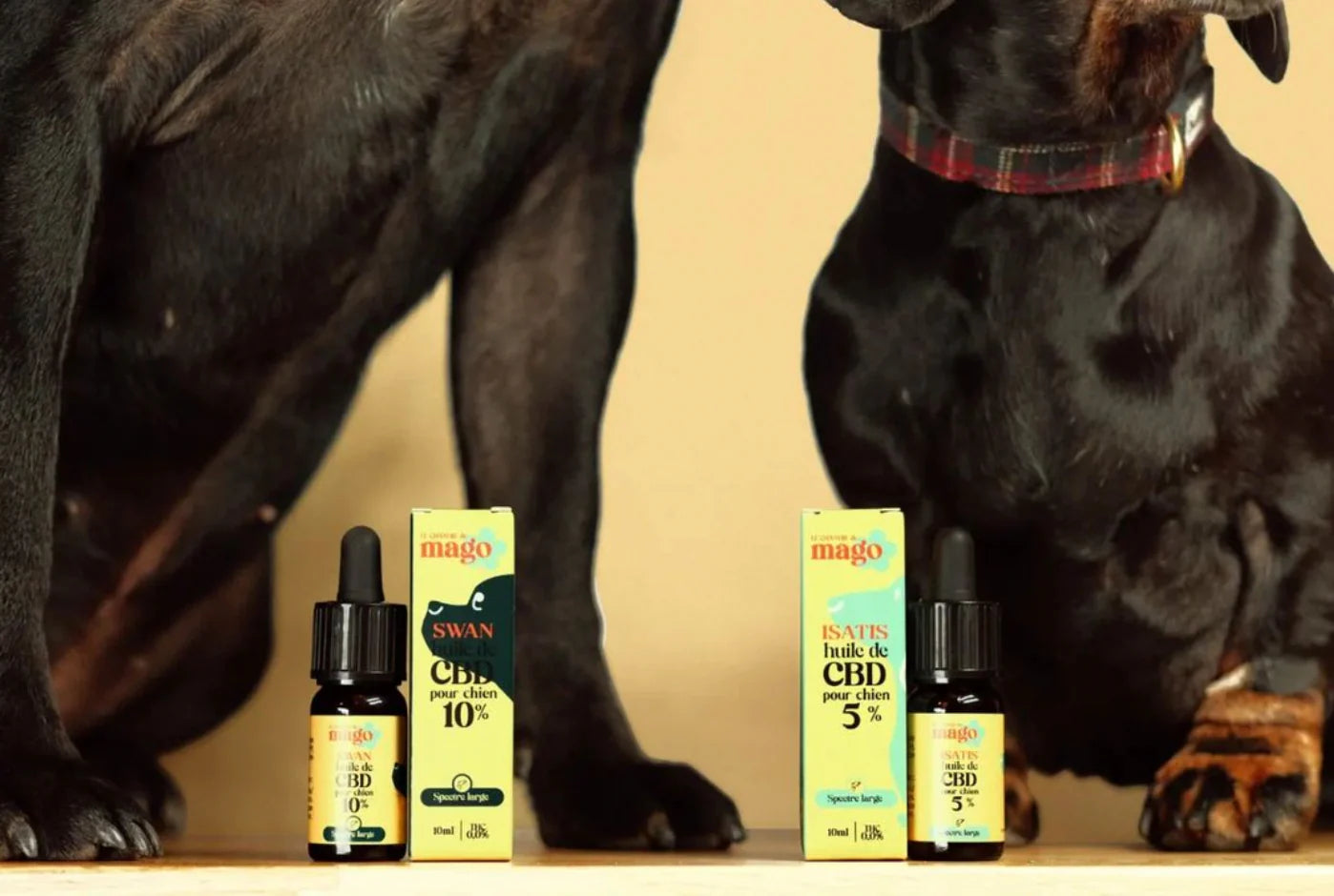 Huile de CBD 5%