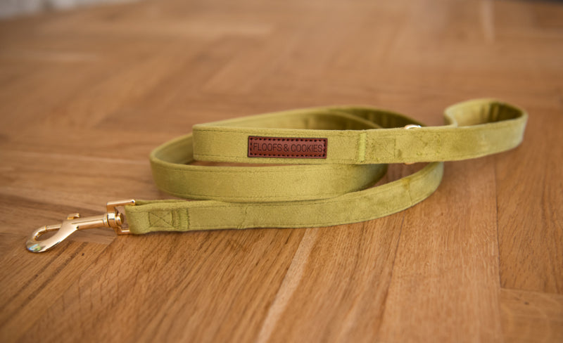 Laisse Velvy Olivia - Frankie et Suzie