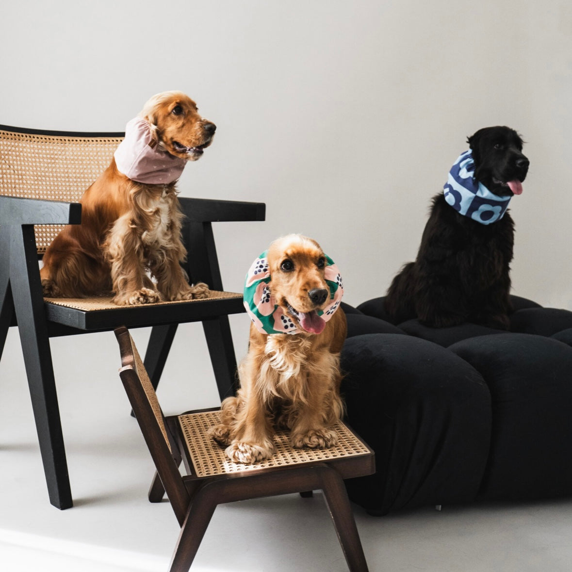 Snood Flowers field - Frankie et Suzie