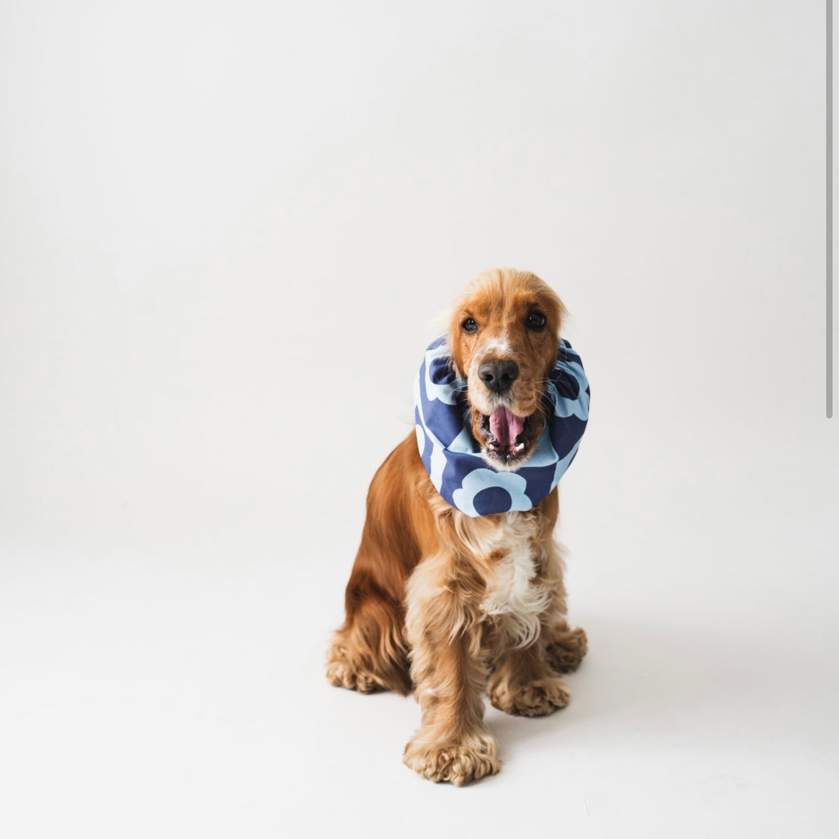 Snood blue flowers - Frankie et Suzie