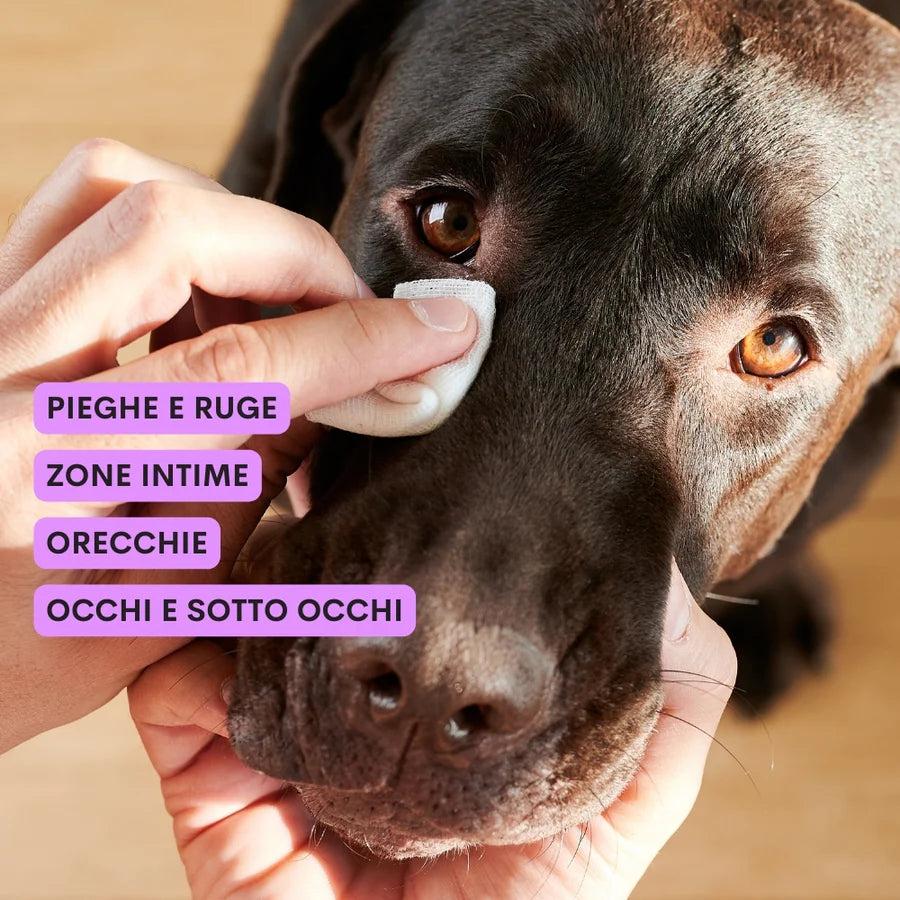 Lait nettoyant oreilles et yeux - Frankie et Suzie