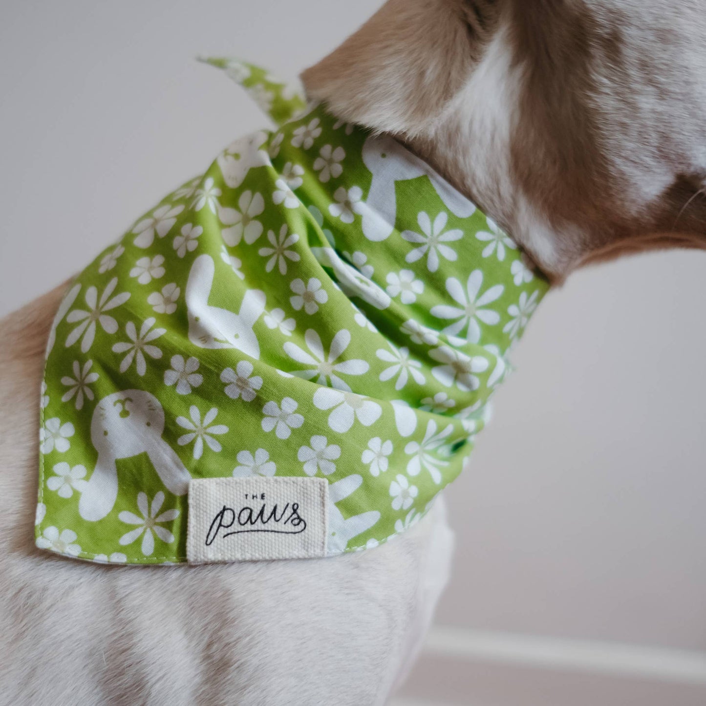 Bandana vert floral - Frankie et Suzie