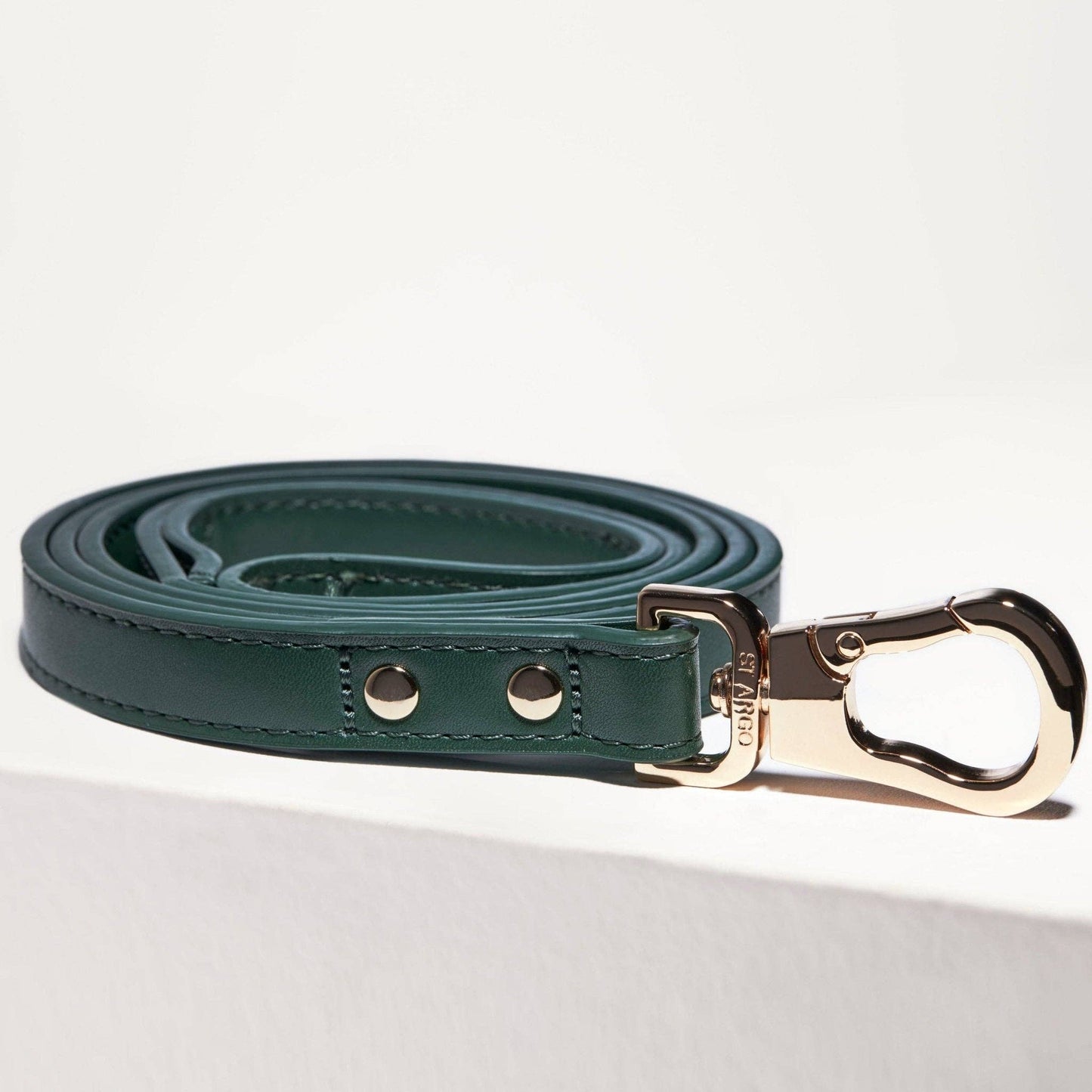 Laisse verte en cuir végétal