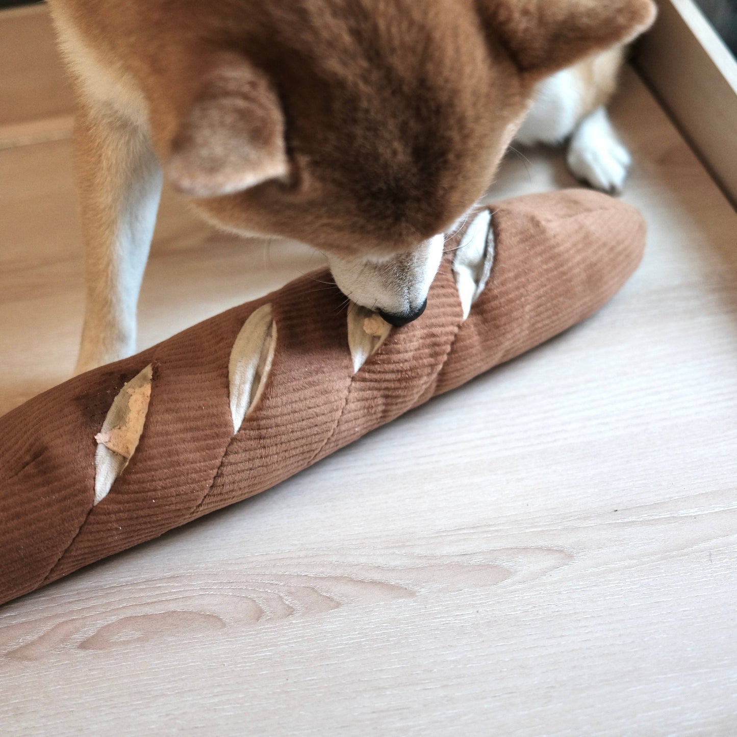 Baguette de fouille