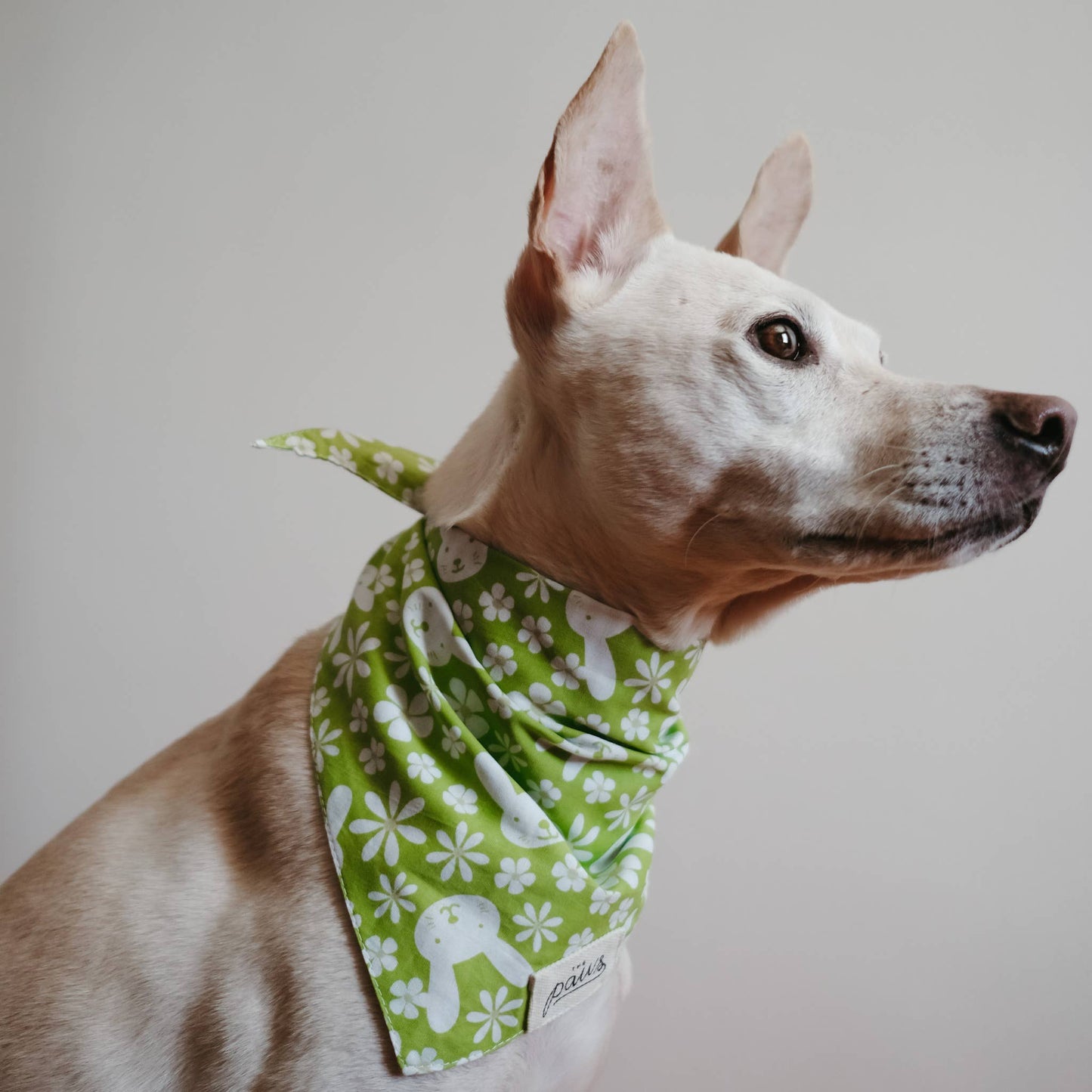 Bandana vert floral - Frankie et Suzie