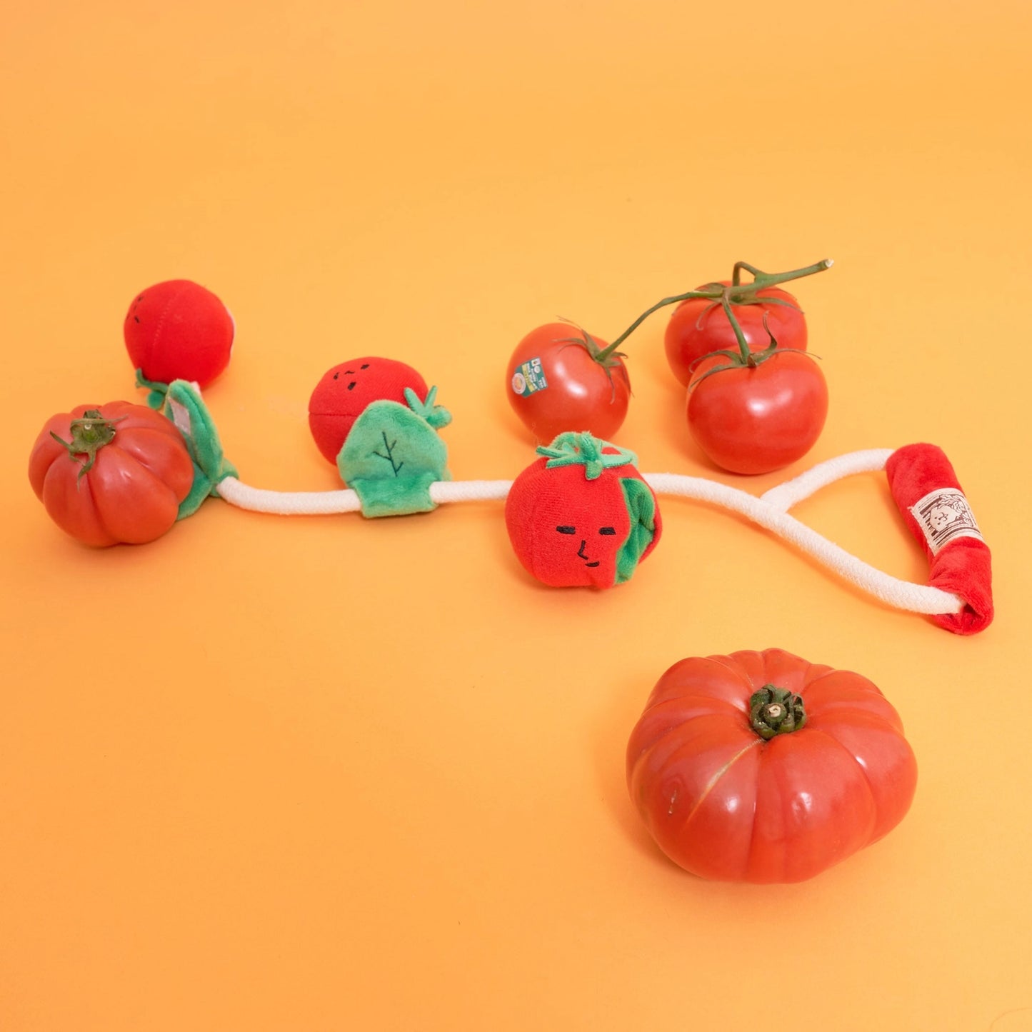 Jouet corde tomate