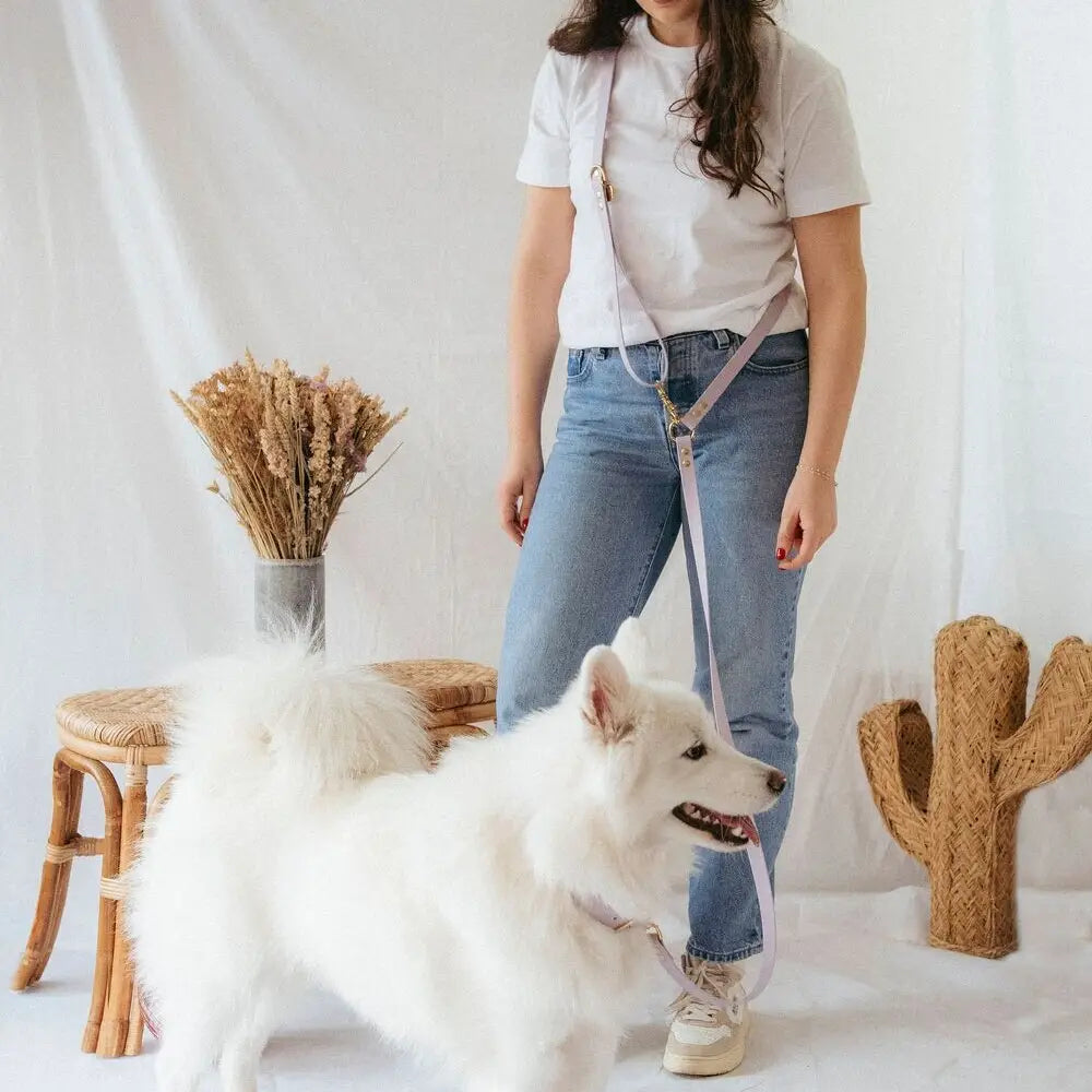 Laisse multi-positions imperméable Lavande