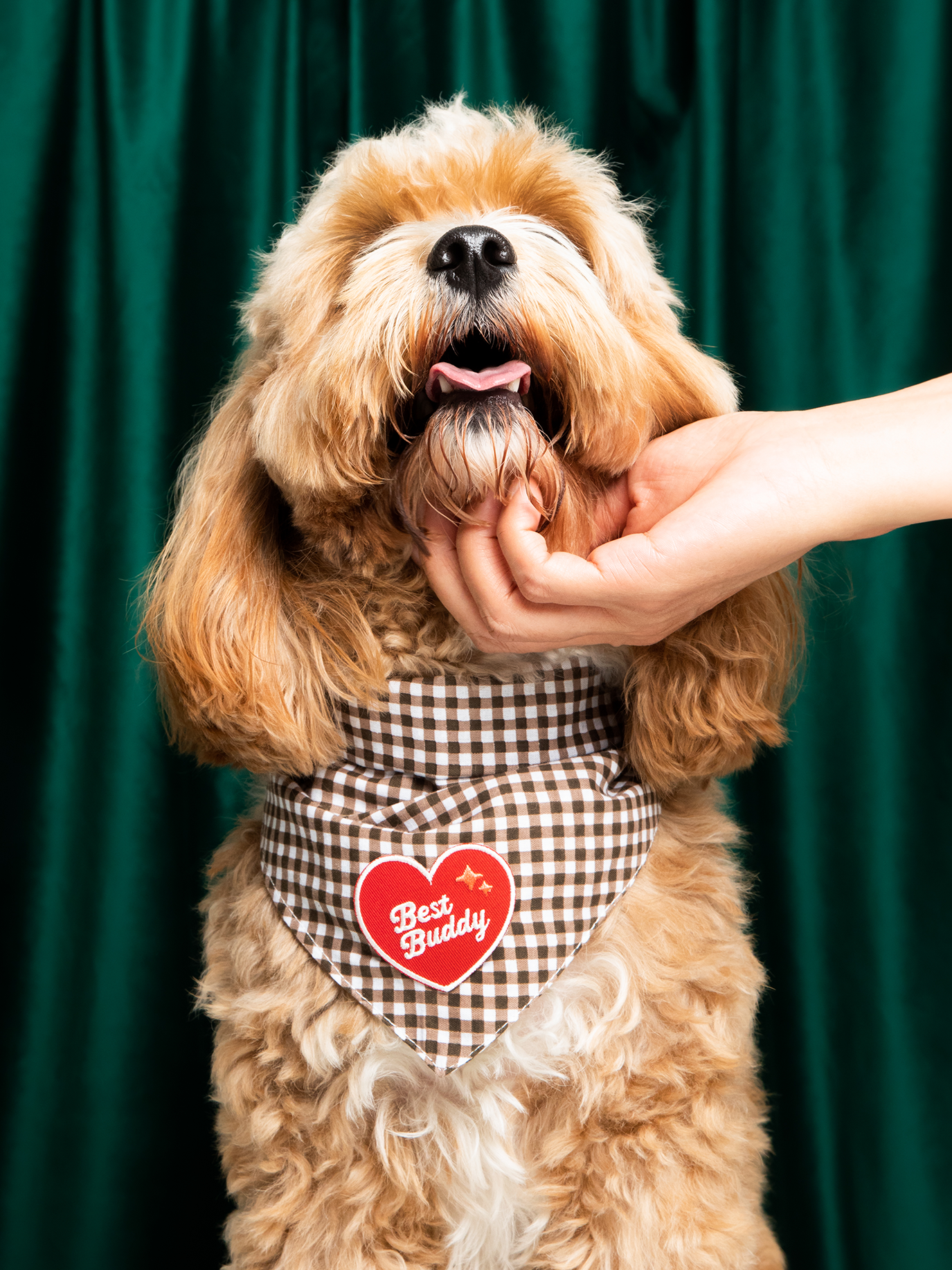 Patch Best Buddy - Frankie et Suzie