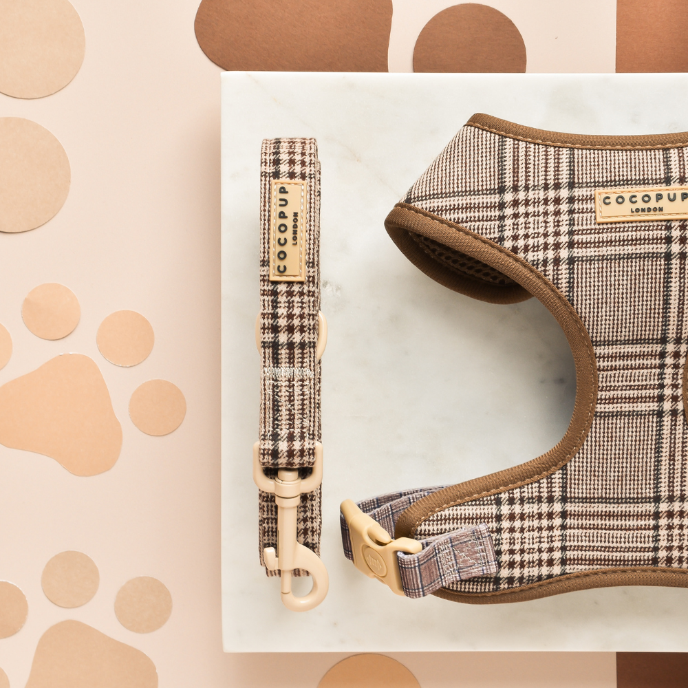 Laisse motif tartan