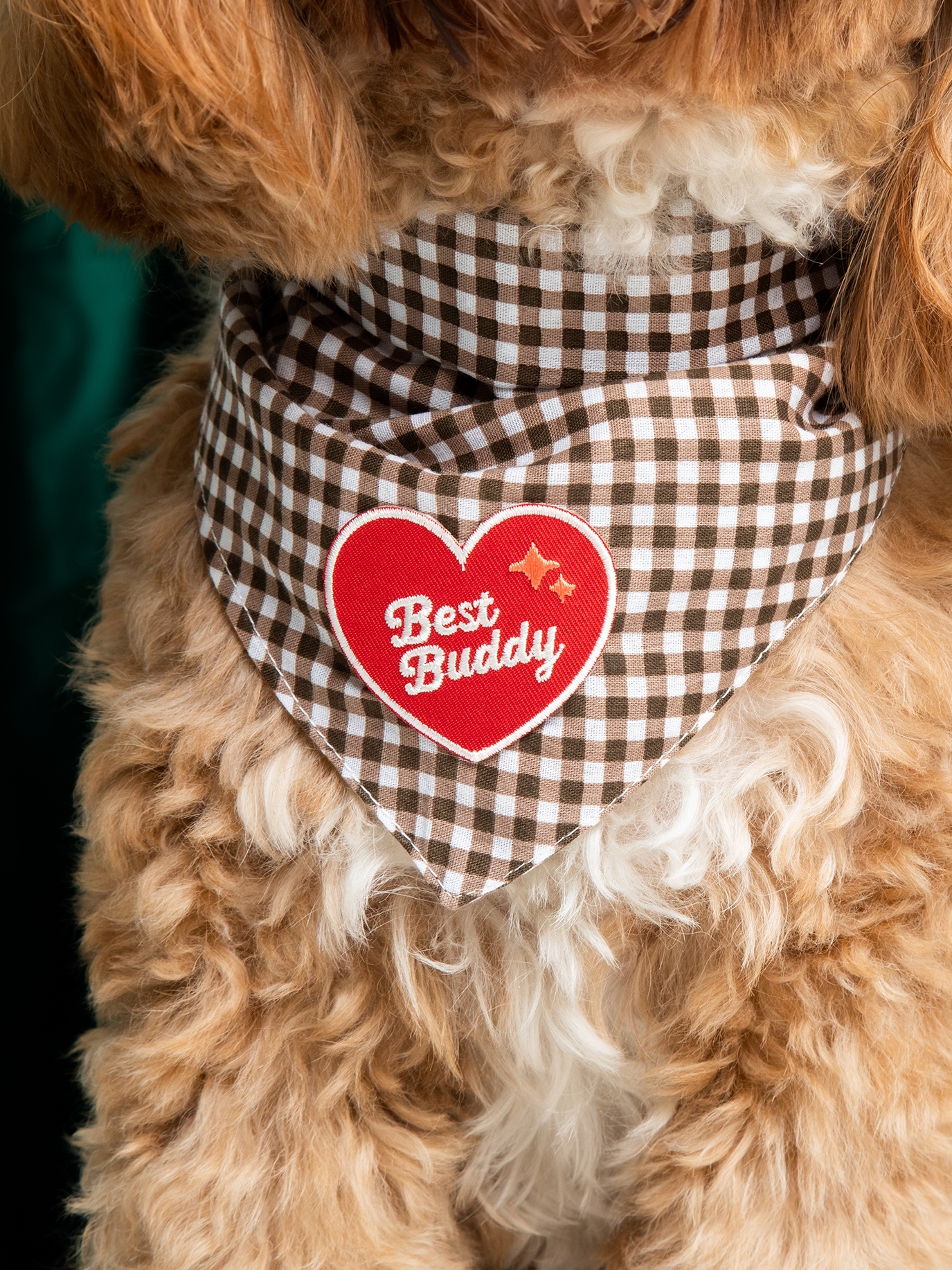 Patch Best Buddy - Frankie et Suzie