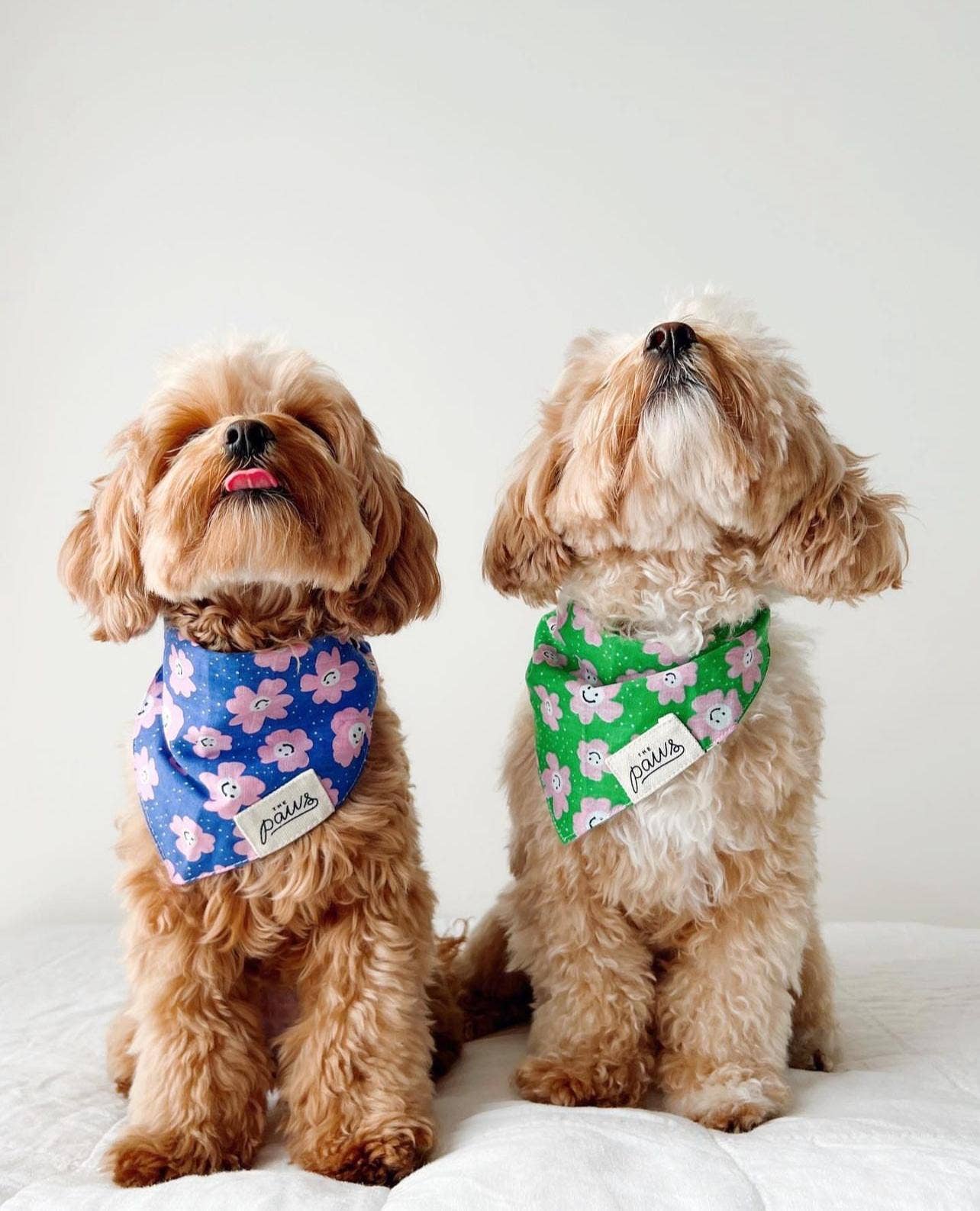 Bandana vert à fleurs rose - Frankie et Suzie
