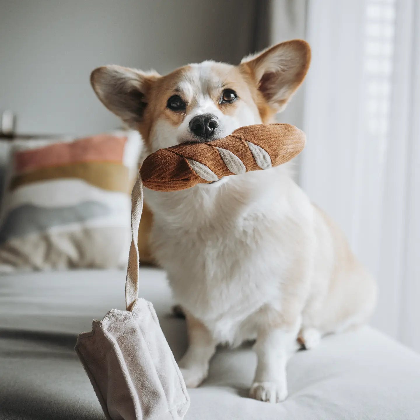 Mini baguette de fouille