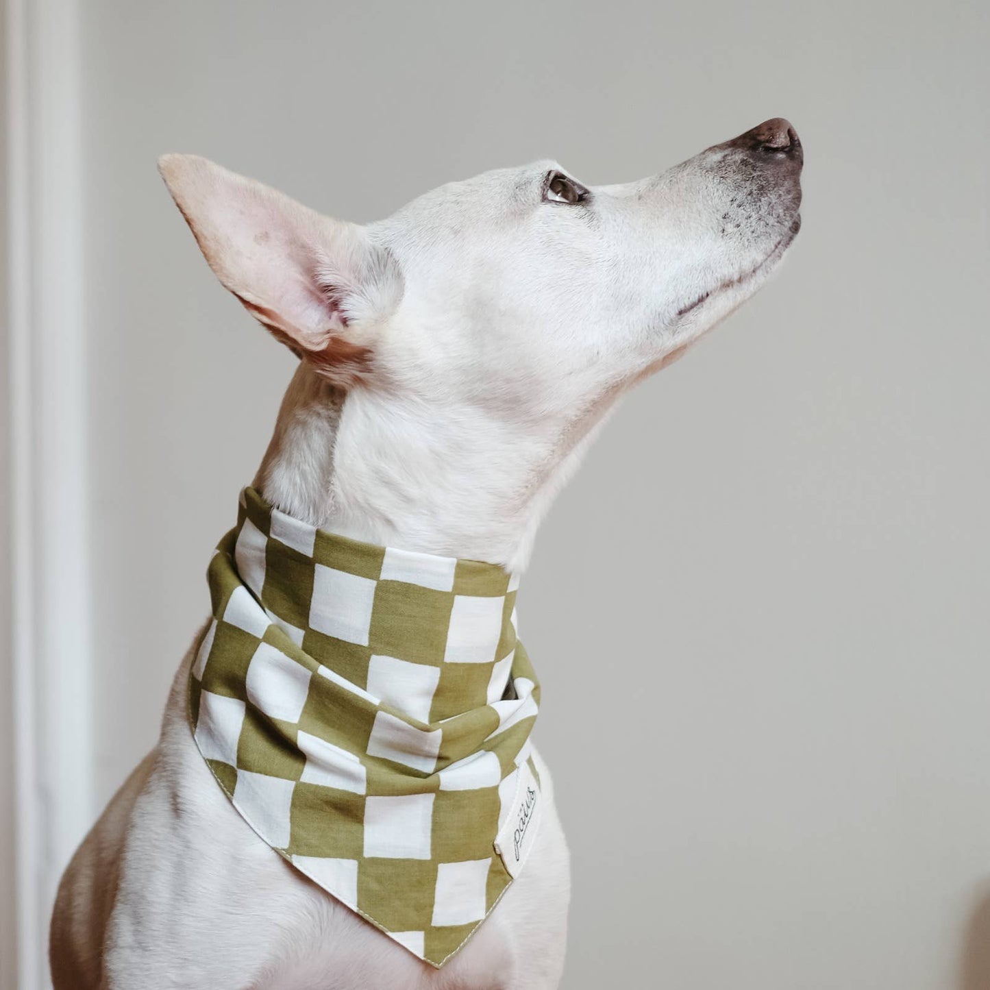 Bandana à carreaux kaki - Frankie et Suzie