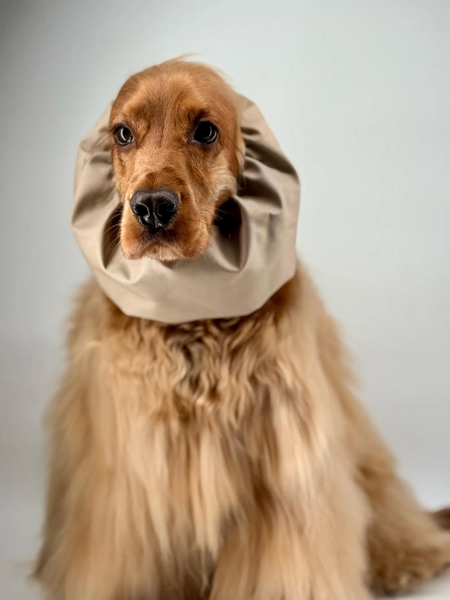 Snood imperméable beige