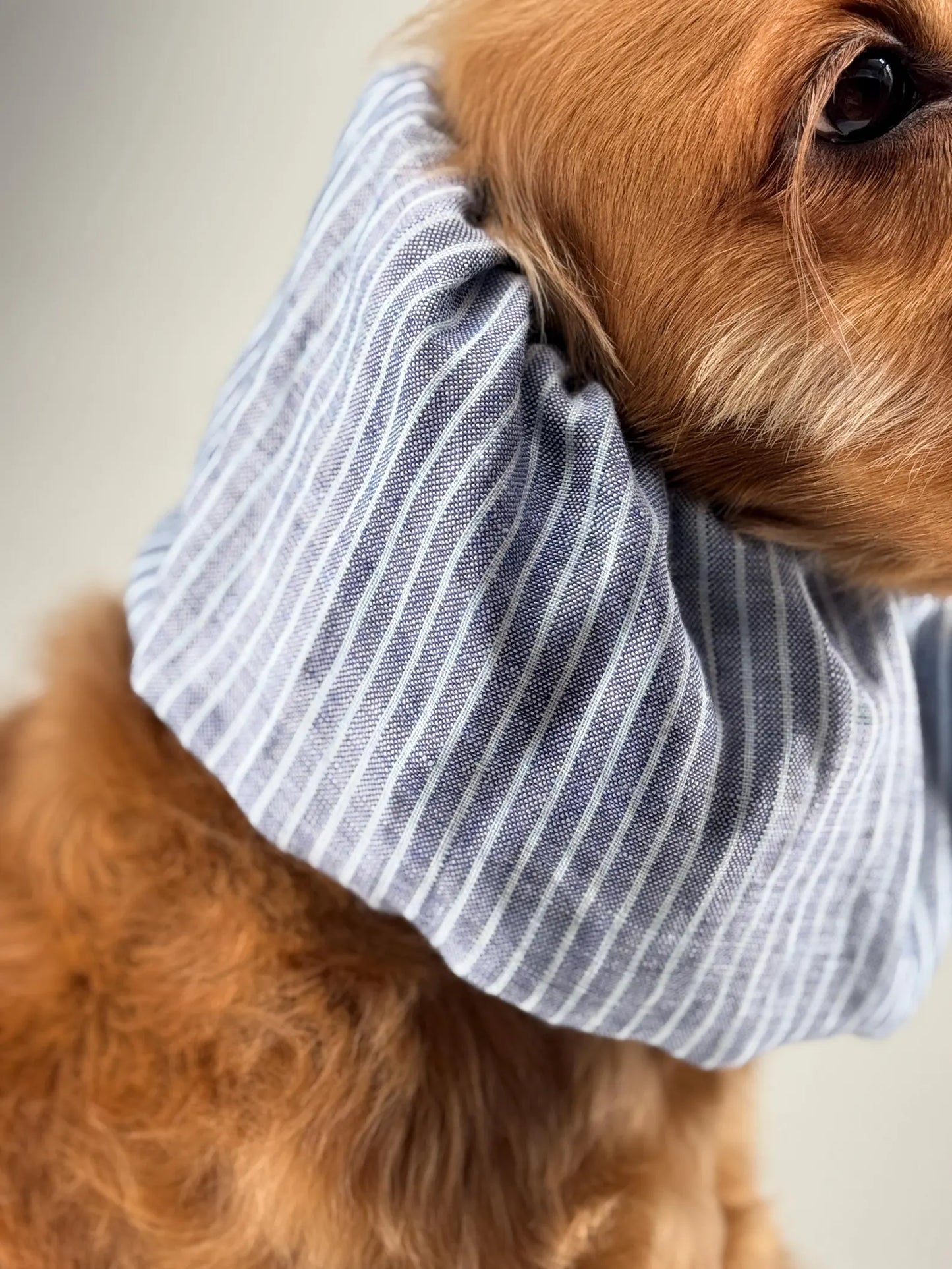 Snood à rayures bleu et blanche