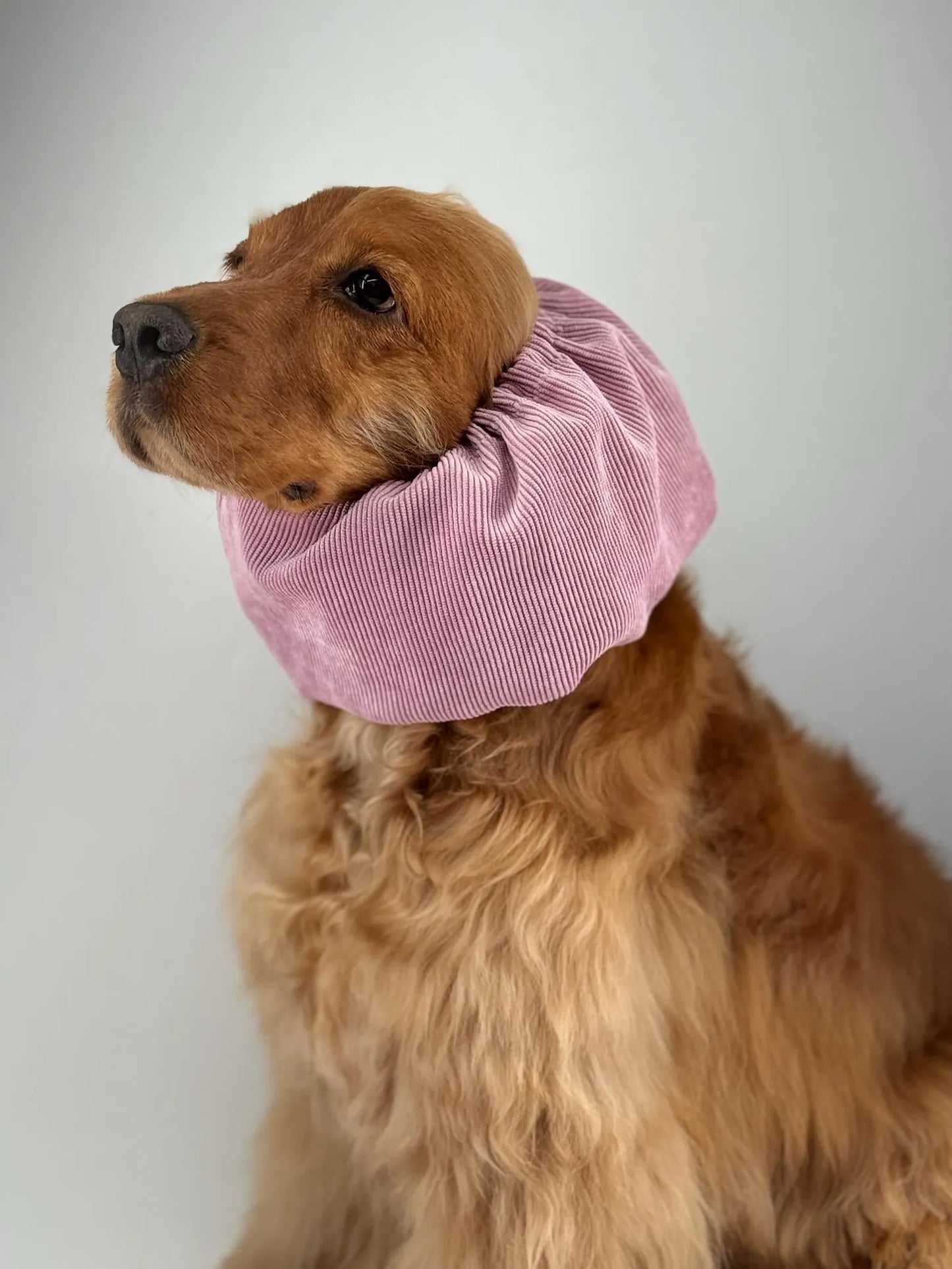 Snood rose en velours
