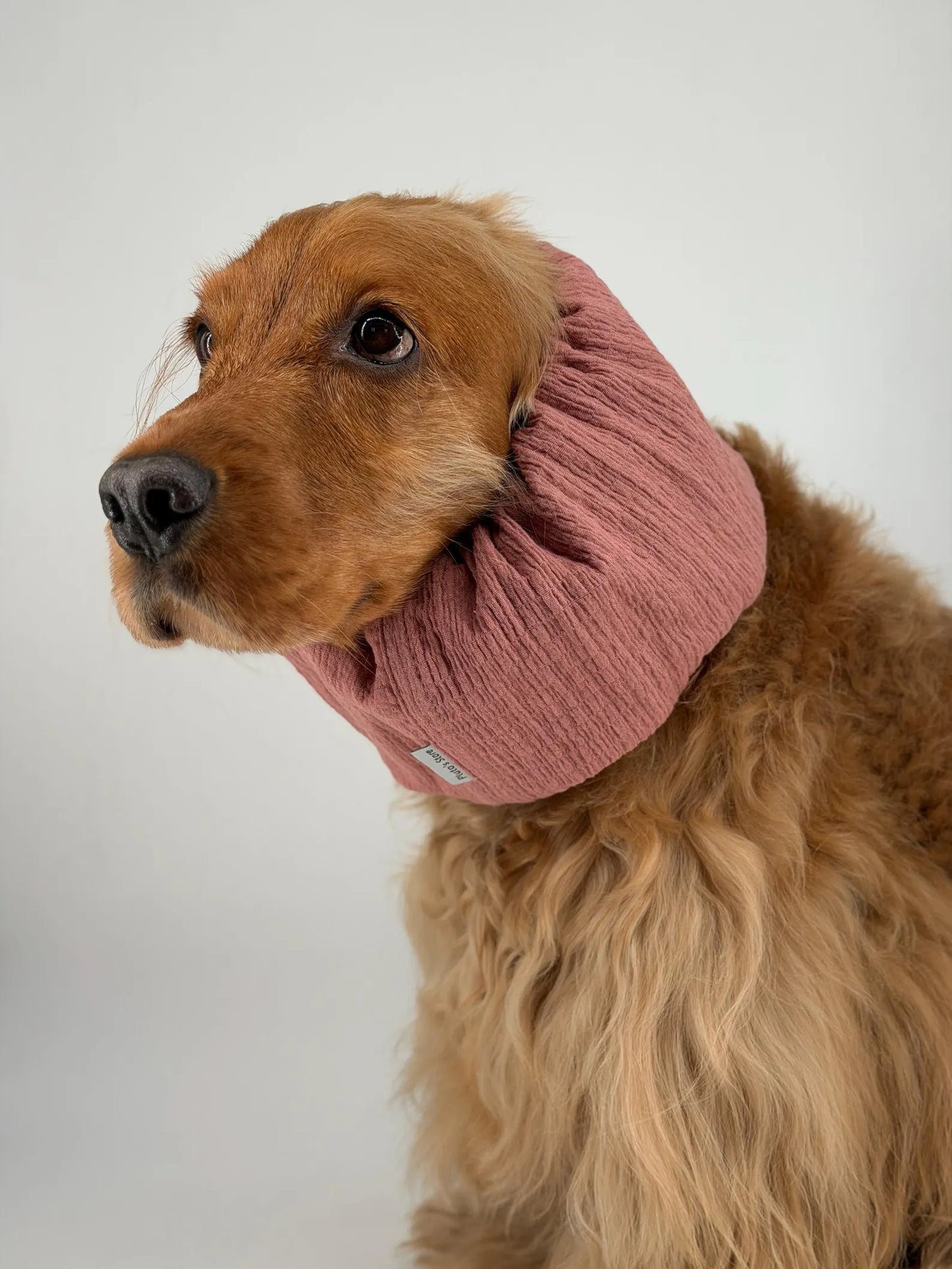Snood rose poudré en gaz de coton - Frankie et Suzie